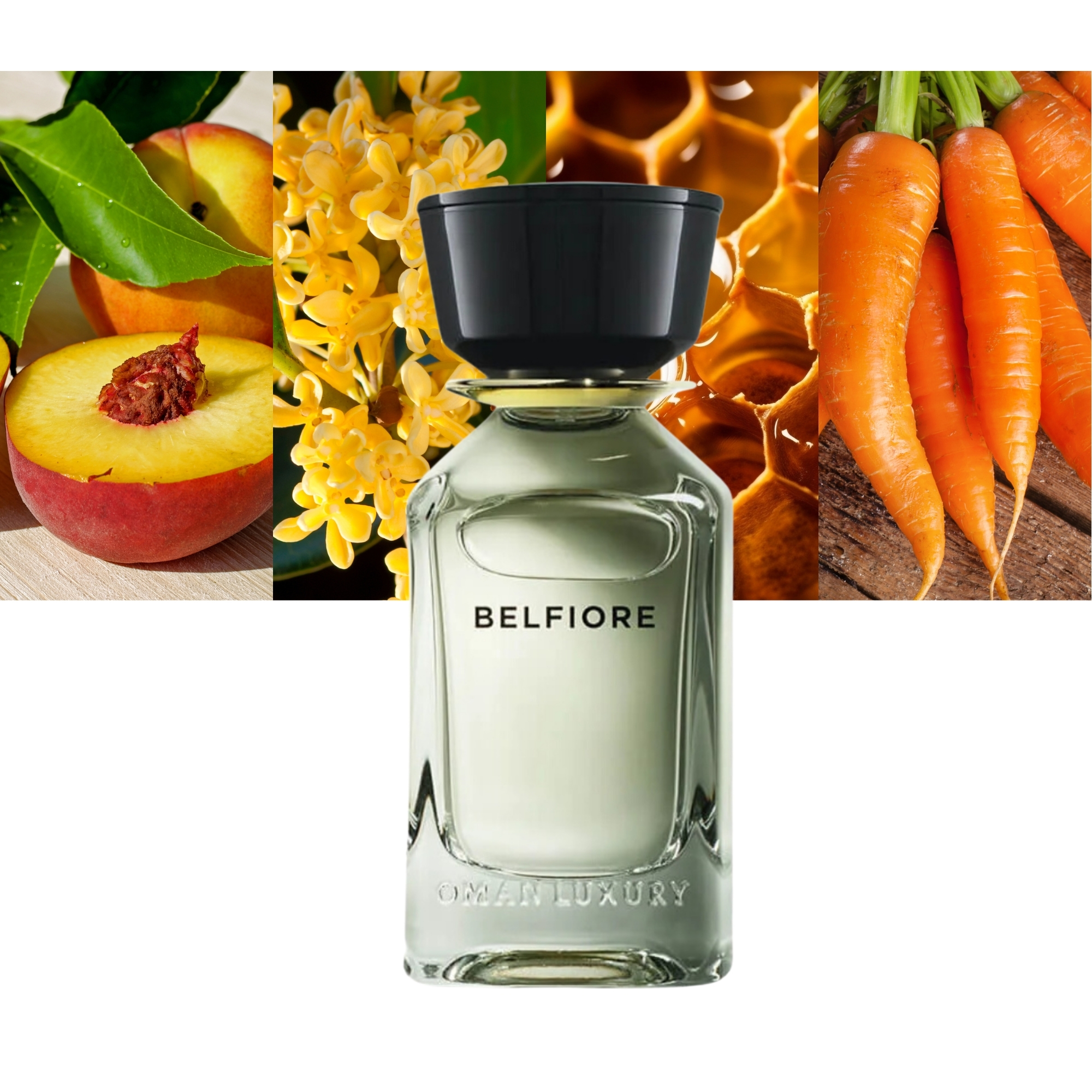 Omanluxury Belfiore