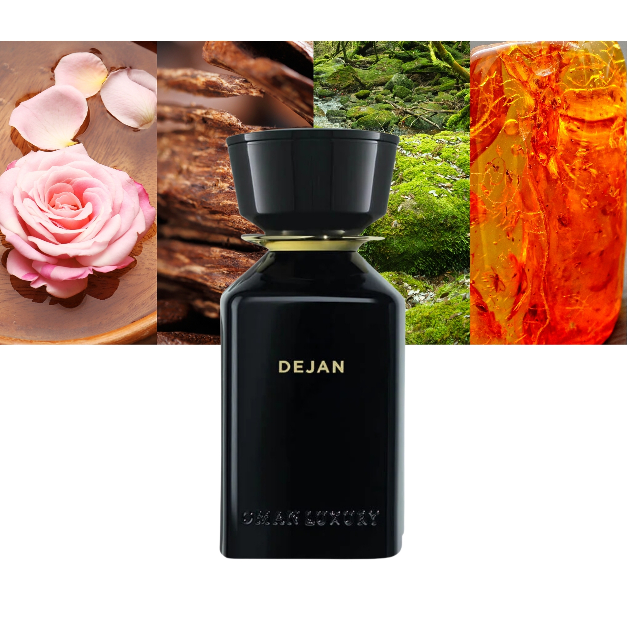 Omanluxury Dejan