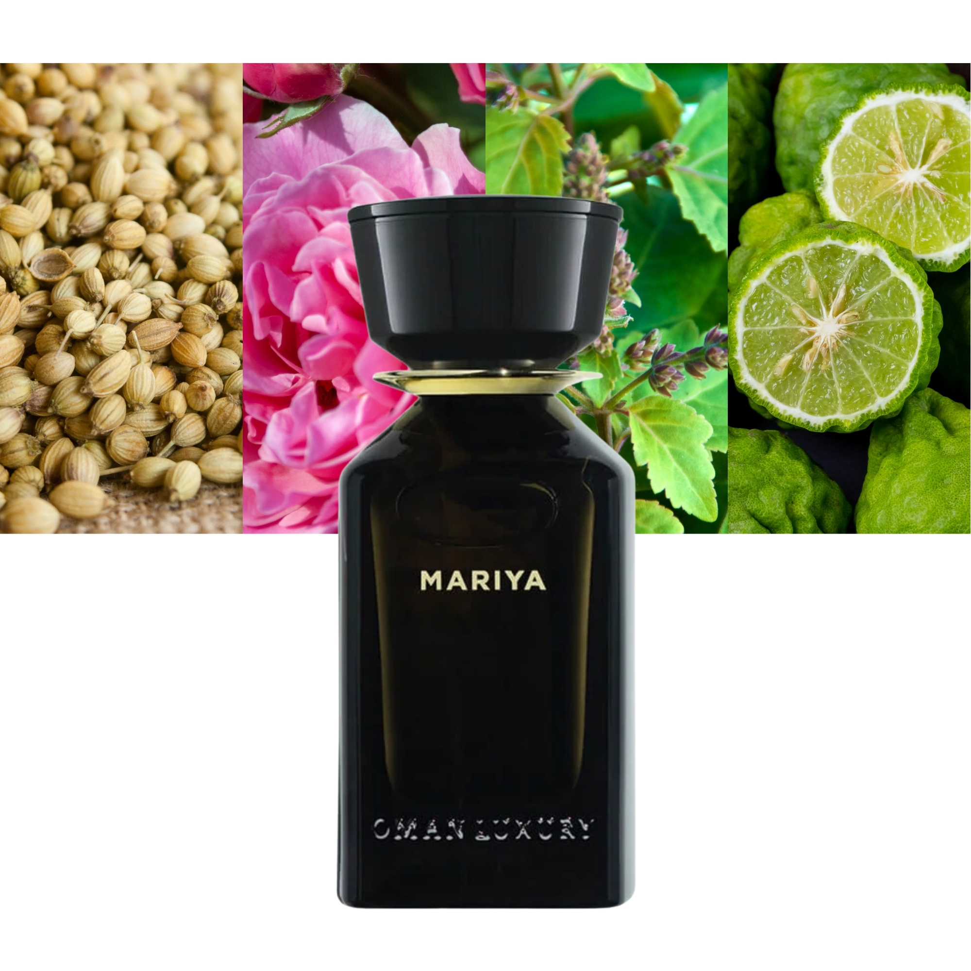 Omanluxury Mariya