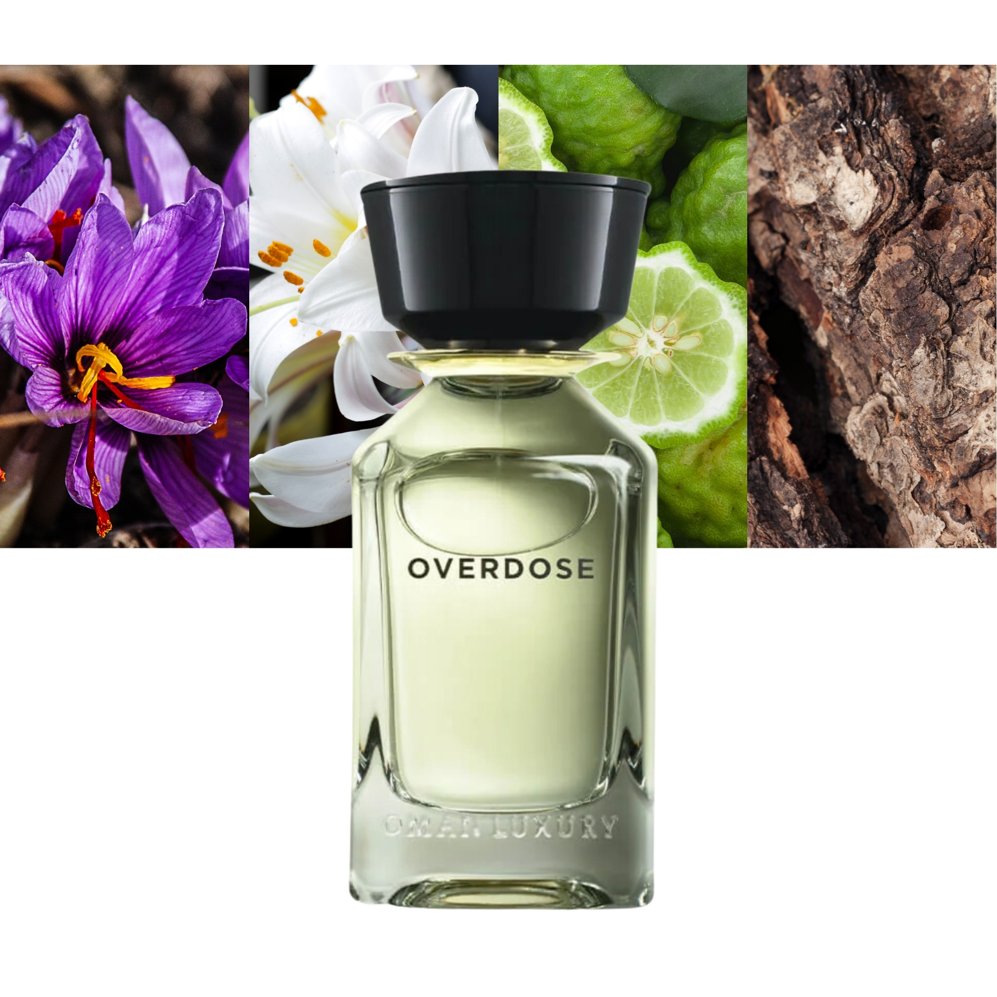 Omanluxury Overdose