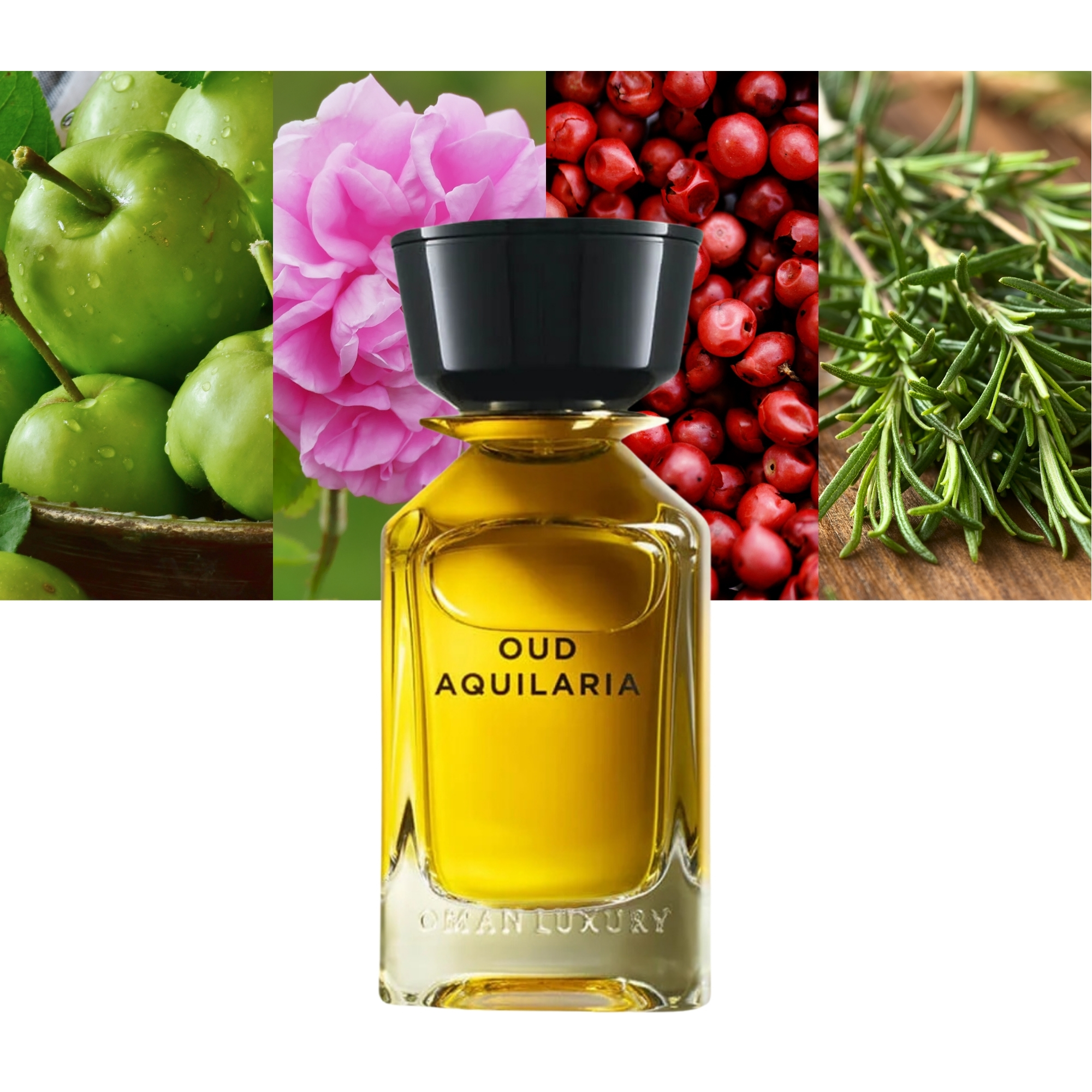 Omanluxury Oud Aquilaria