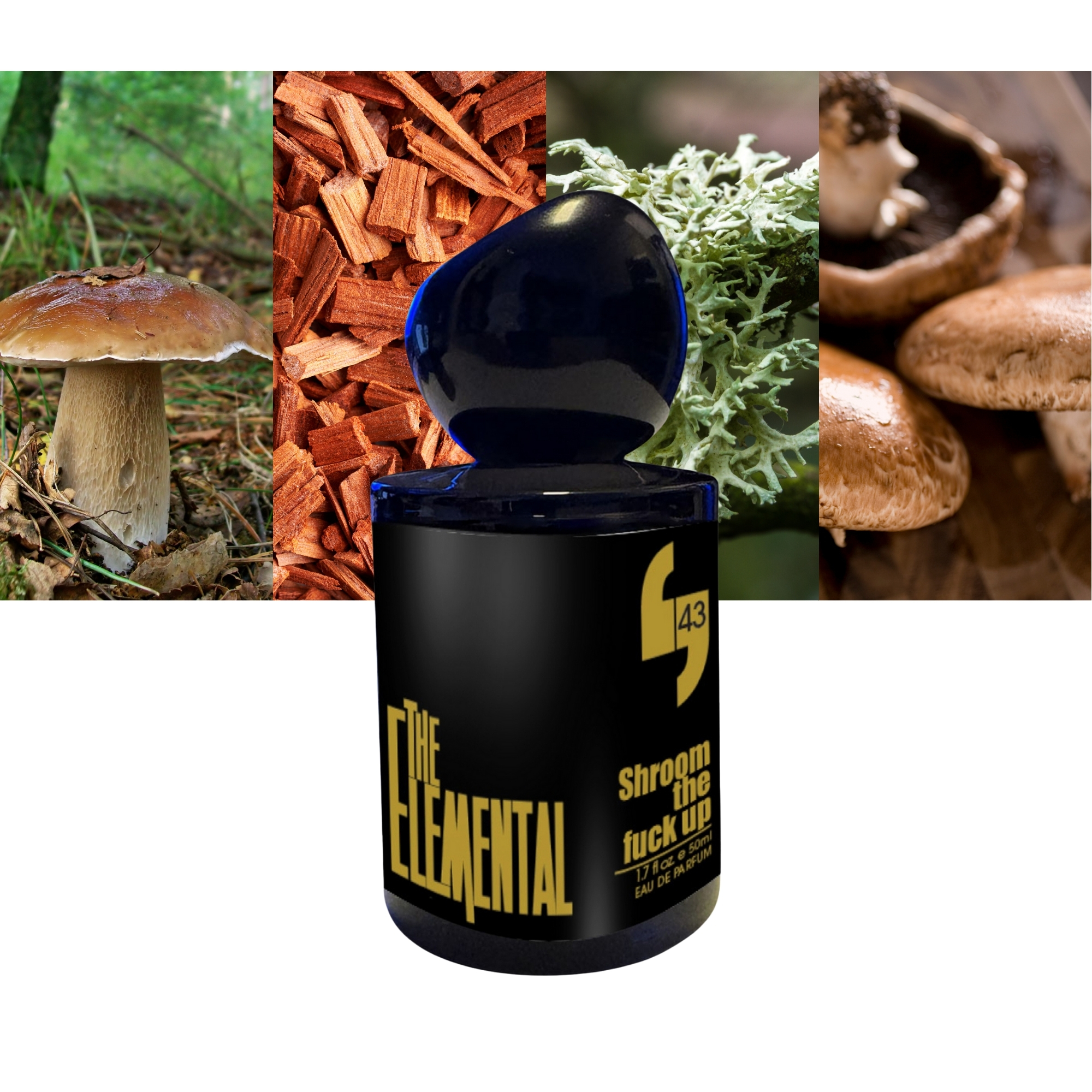 The Elemental Fragrances Shroom The Fuck Up