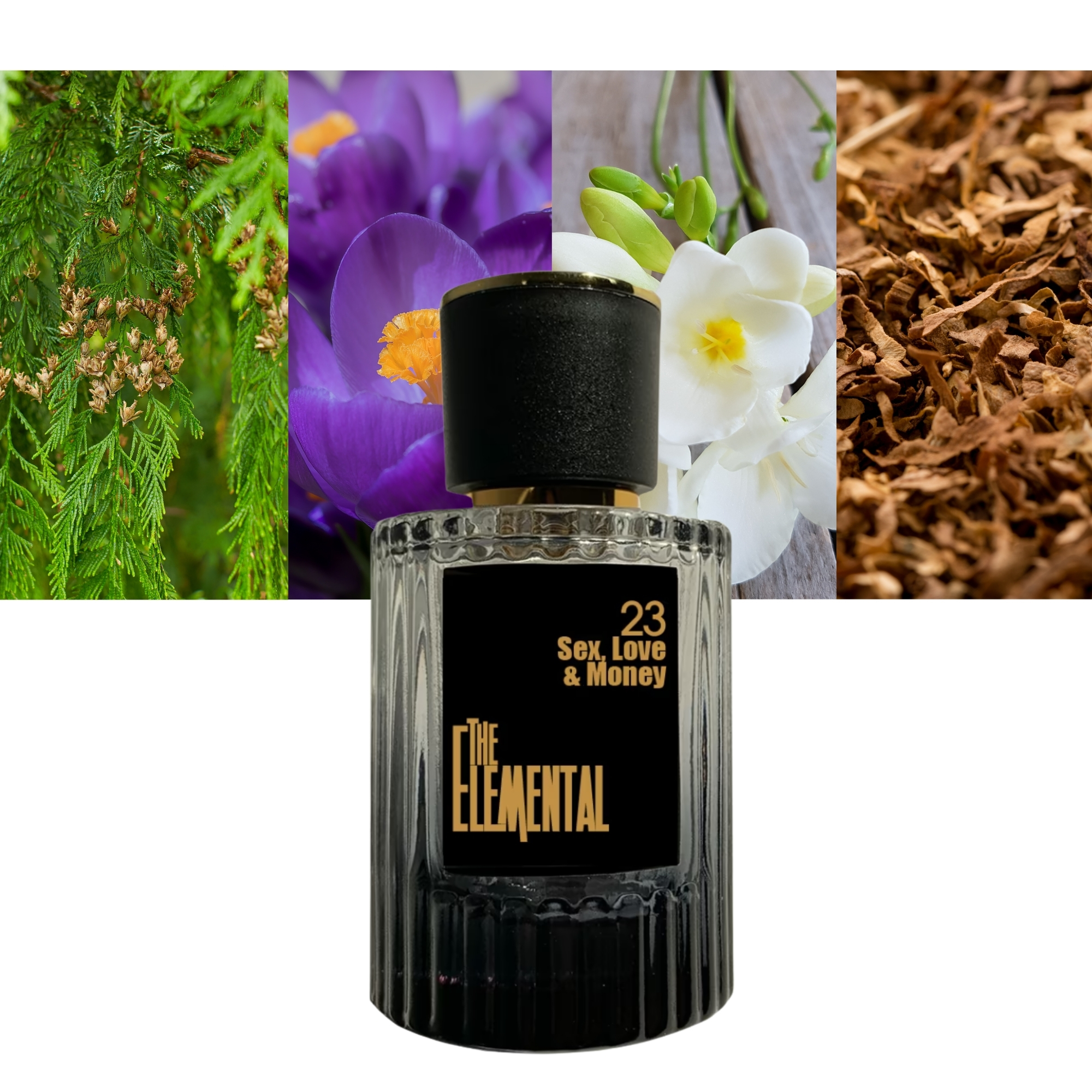 The Elemental Fragrances Sex Love &amp; Money