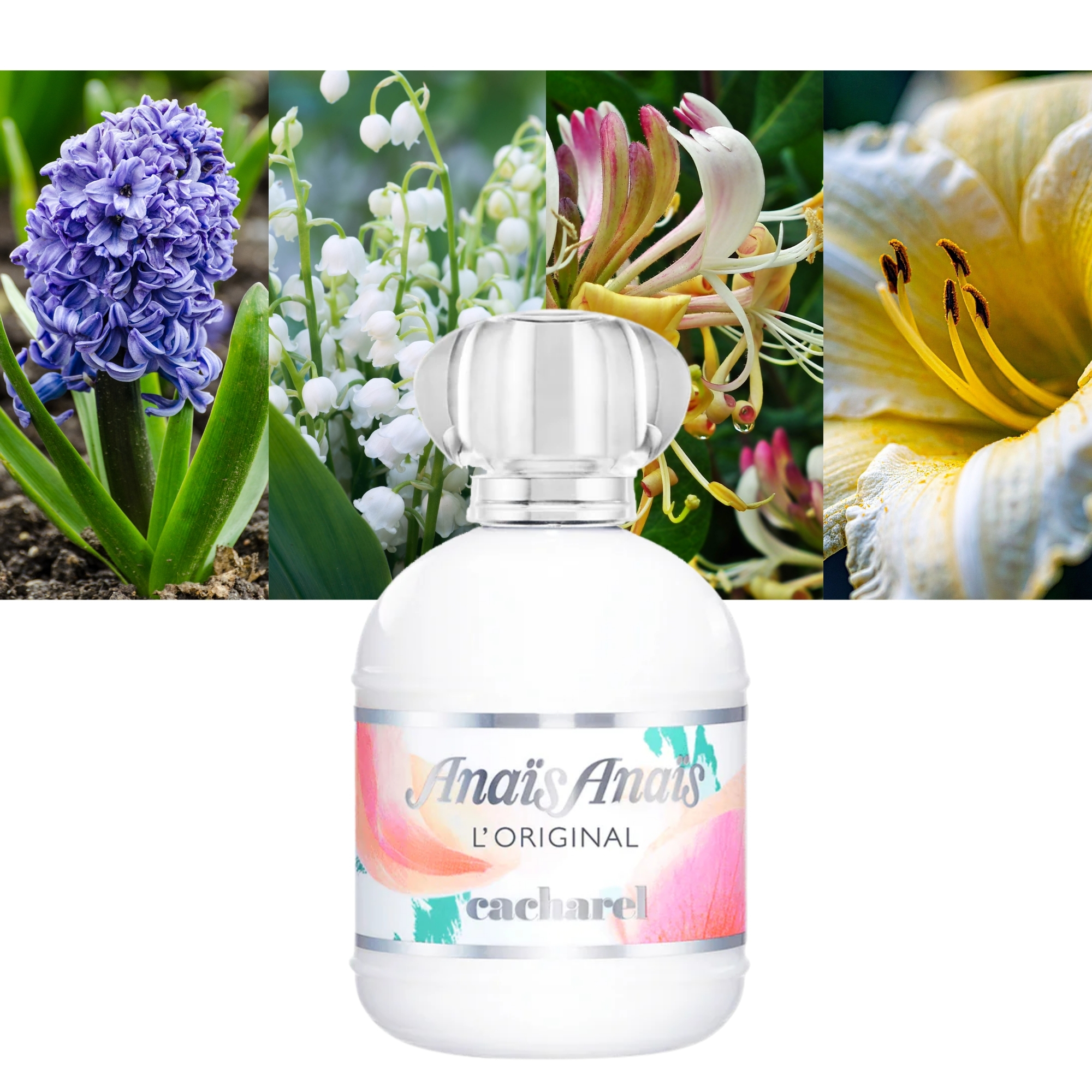 Cacharel Anais Anais Perfume
