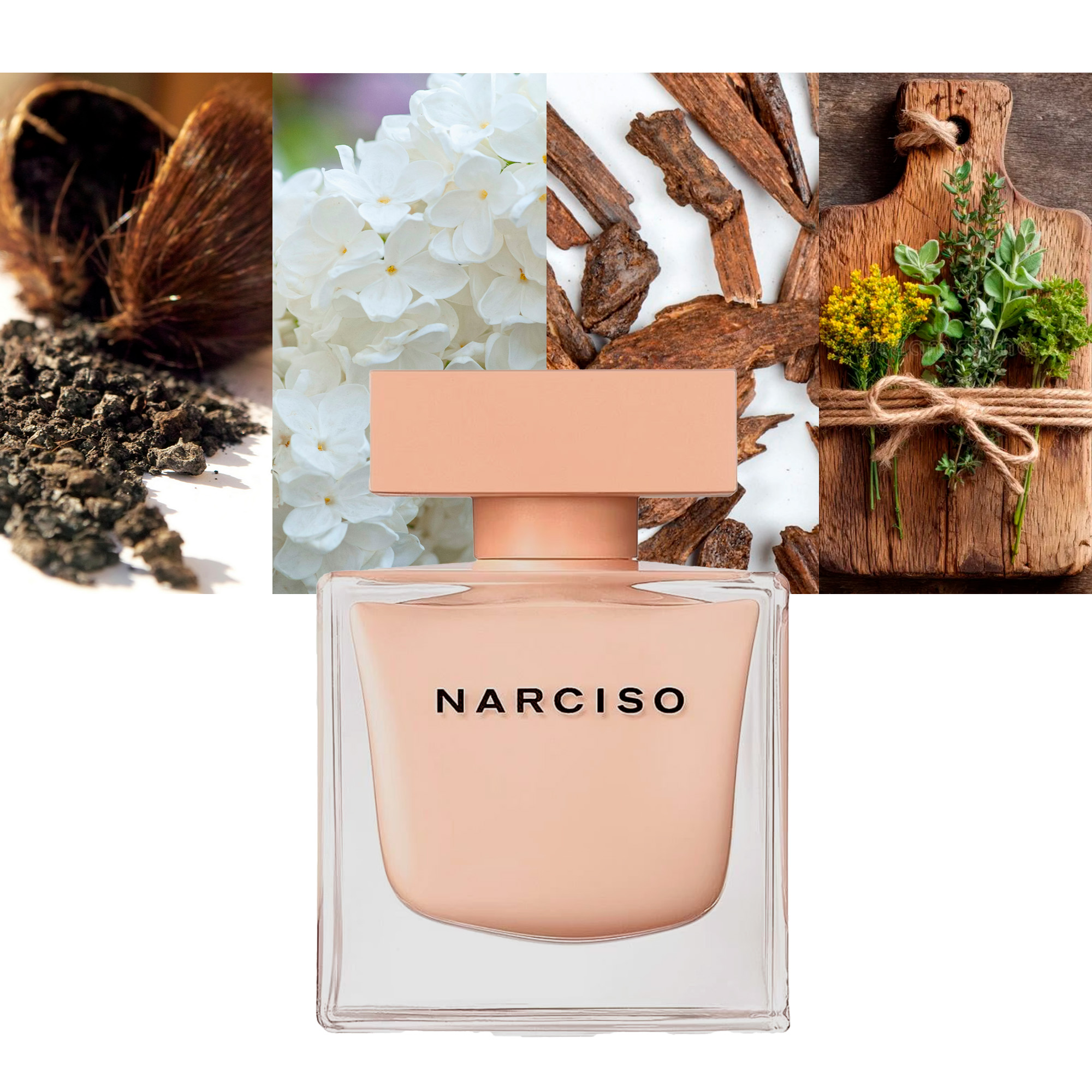 Narciso Rodriguez Narciso Poudree Perfume for Women