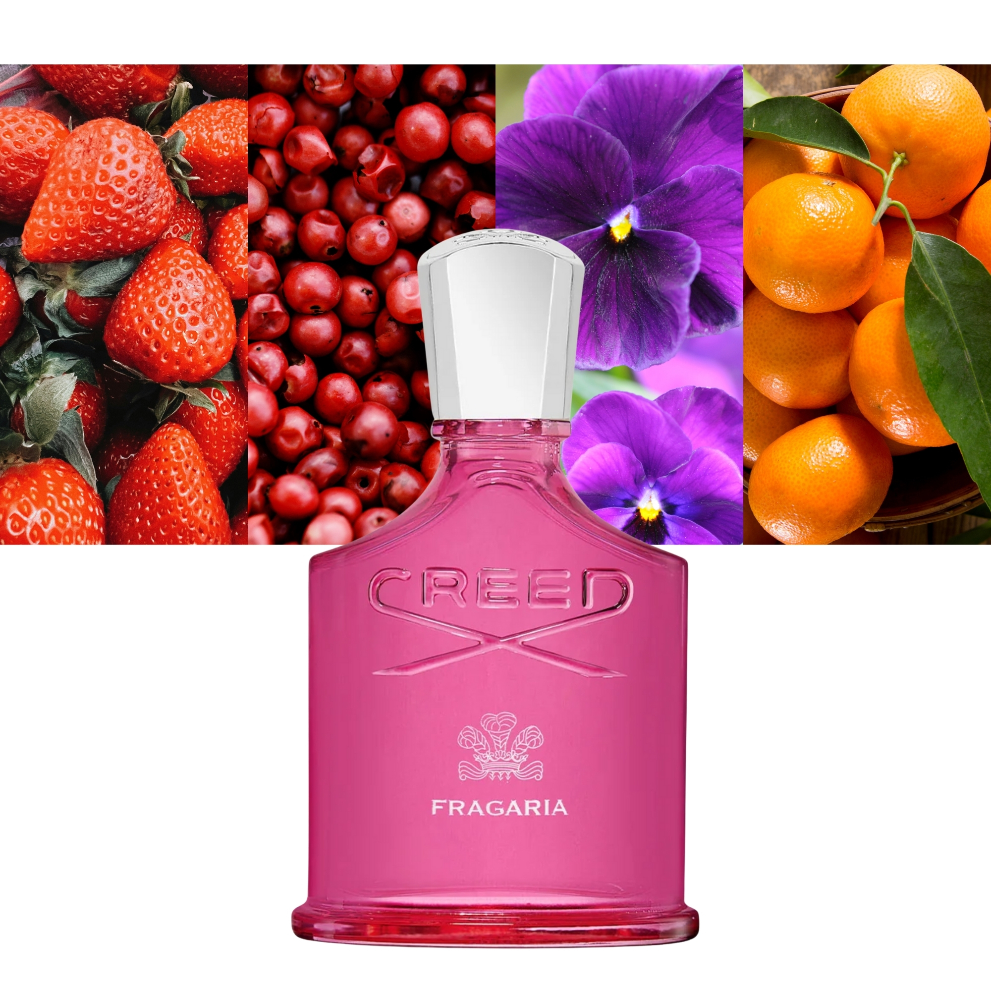 Creed Fragaria