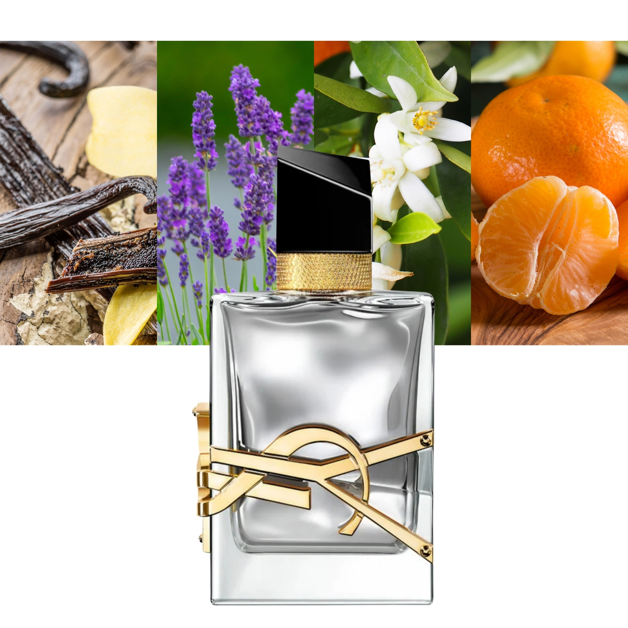 Yves Saint Laurent Libre L Absolu Platine