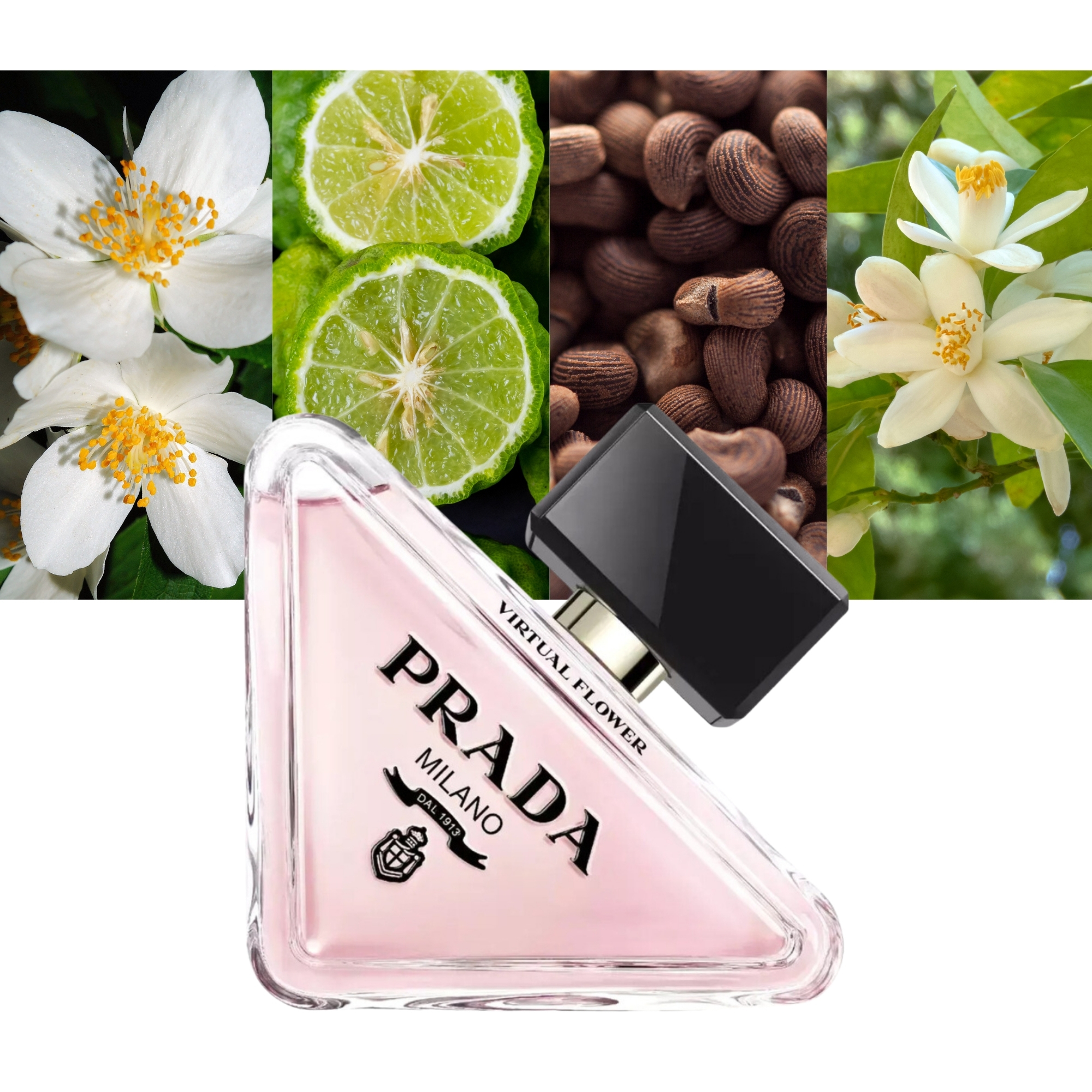 Prada Paradoxe Virtual Flower