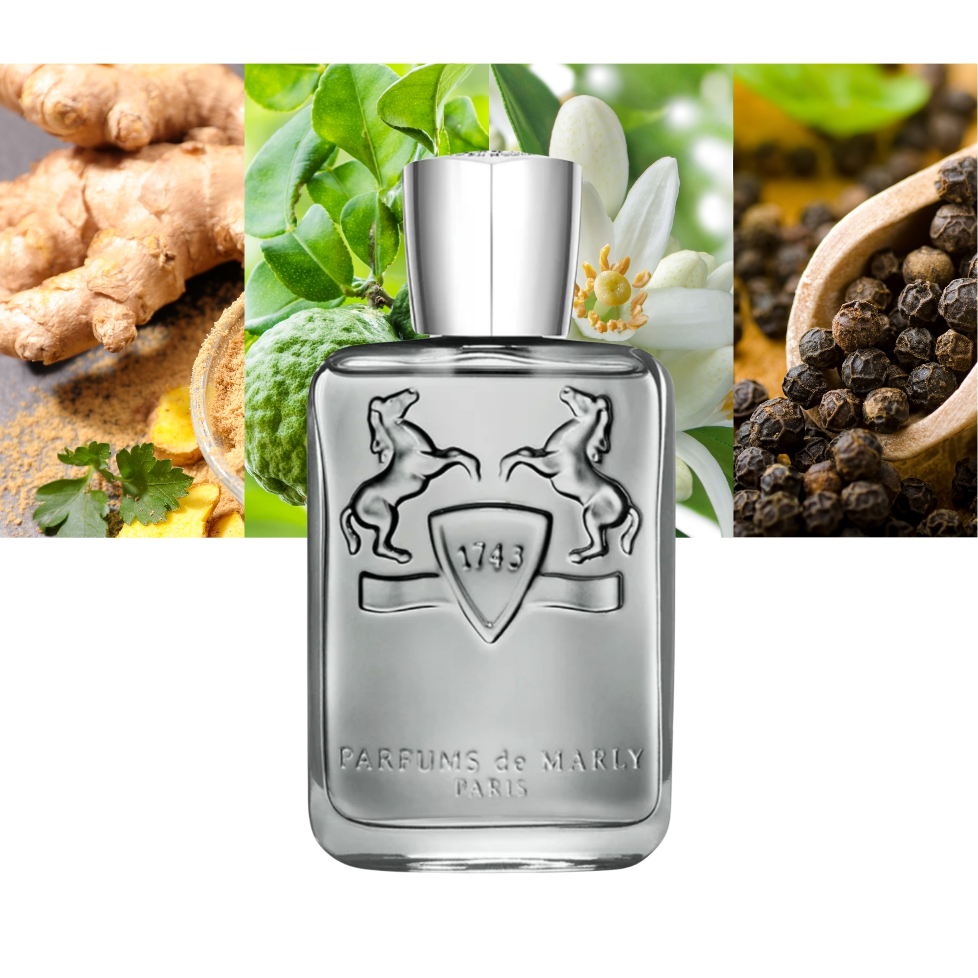 Parfums De Marly Castley