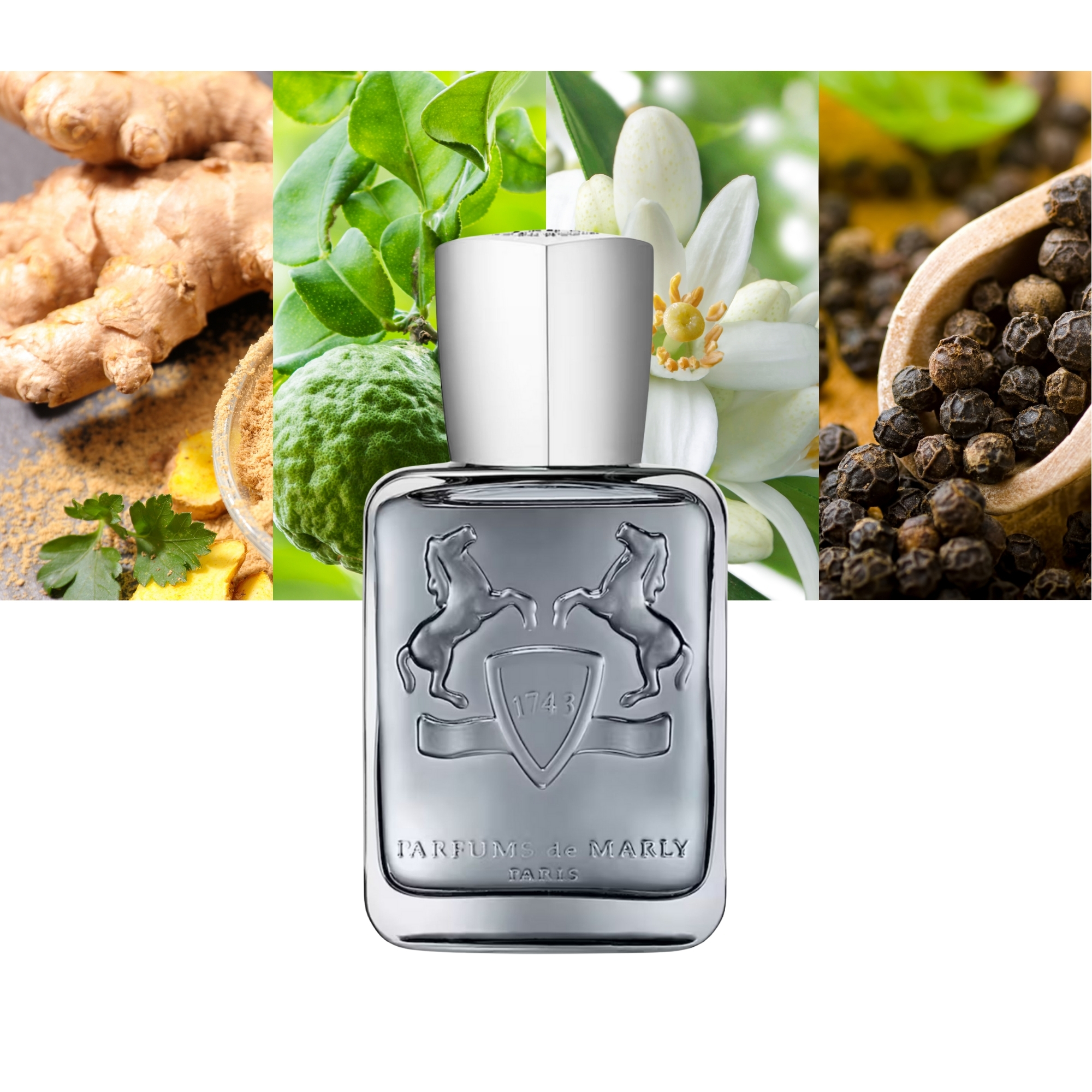 Parfums De Marly Castley