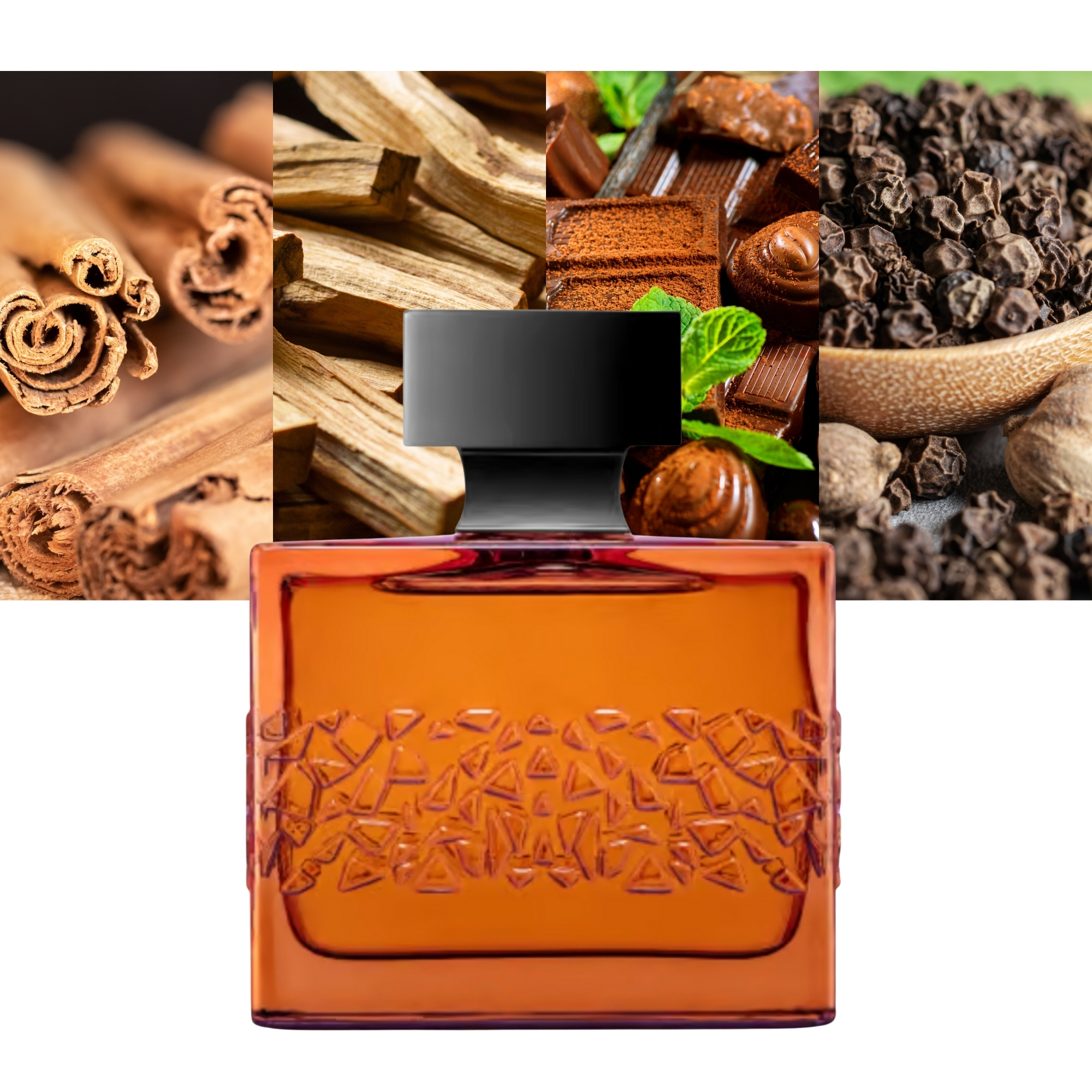 Micallef Notorious XO