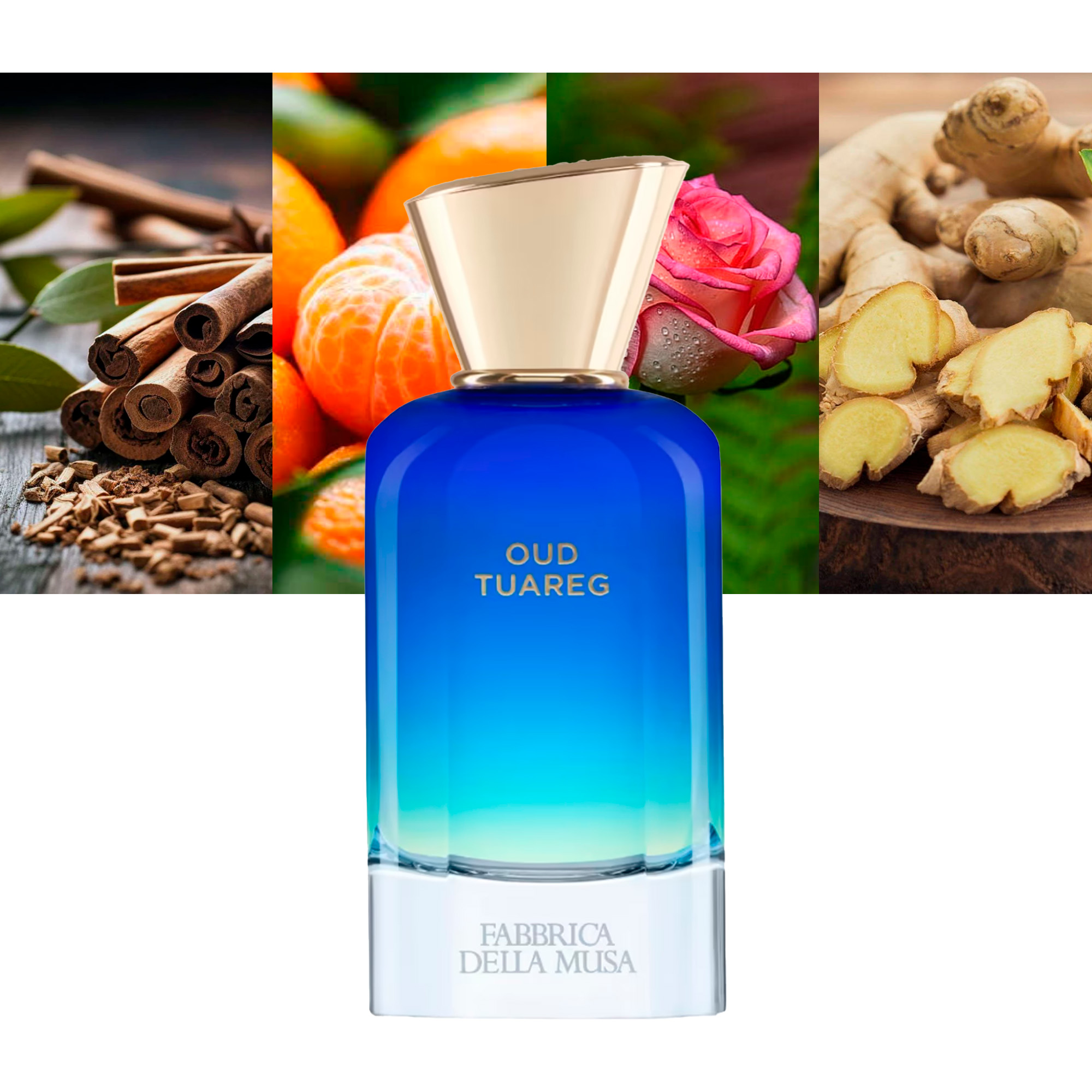 Fabbrica Della Musa Oud Tuareg