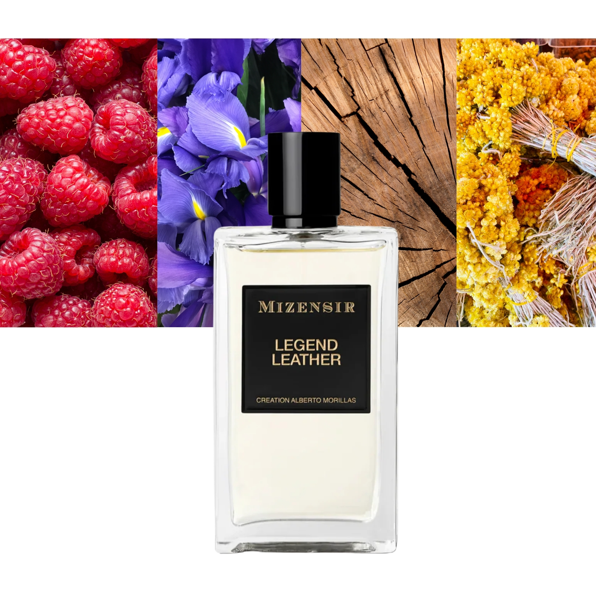 Mizensir Legend Leather