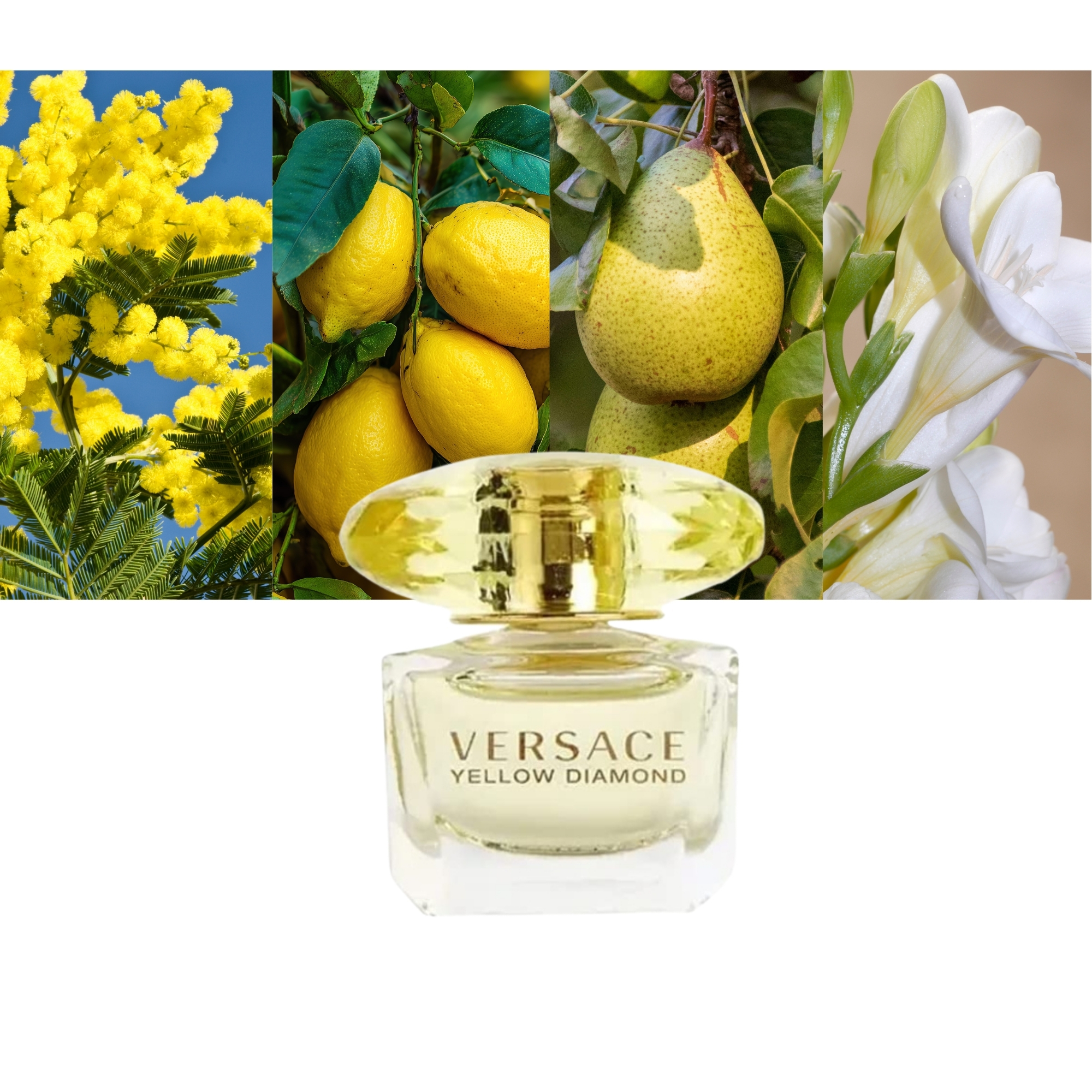 Versace Yellow Diamond