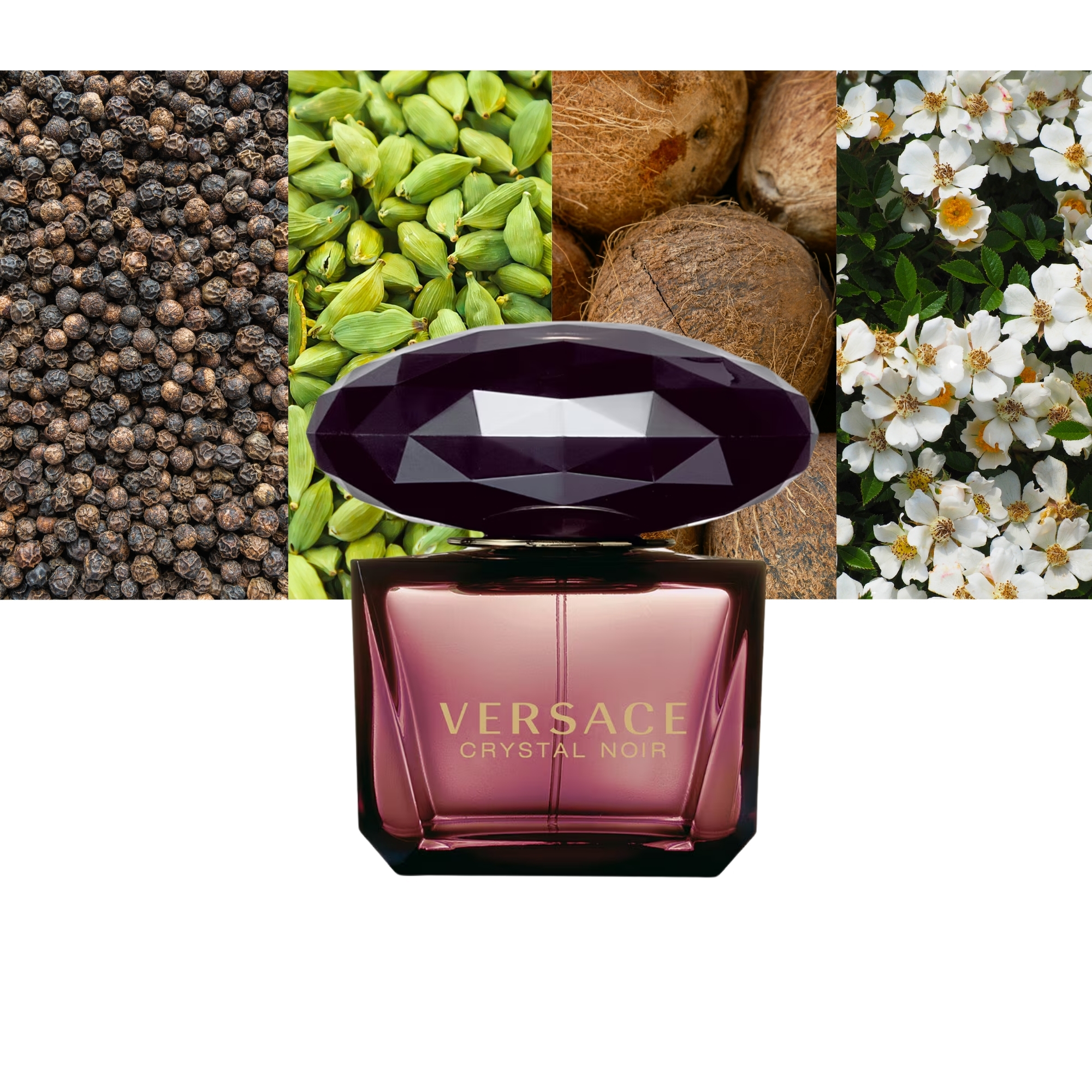 Versace Crystal Noir