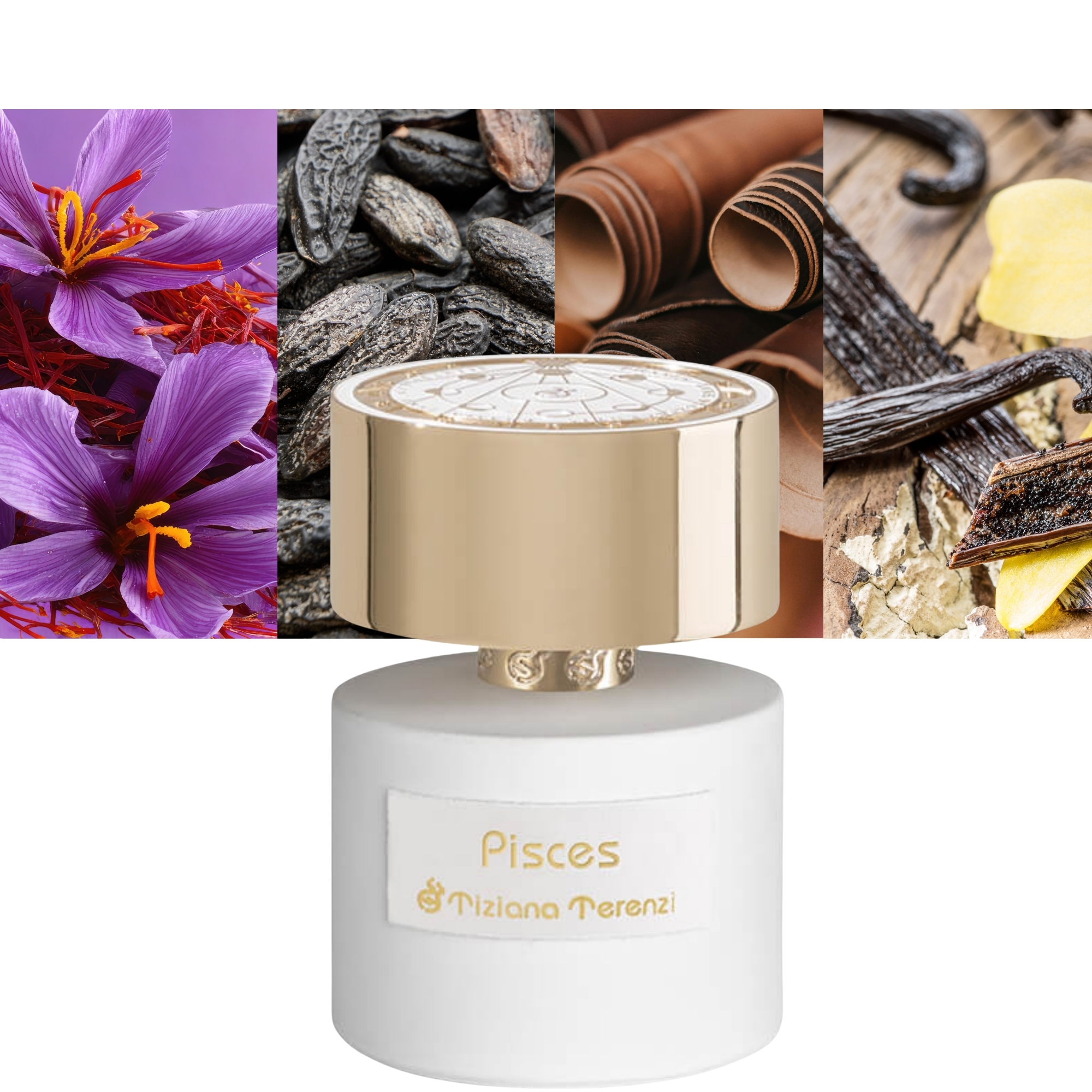 Tiziana Terenzi Pisces