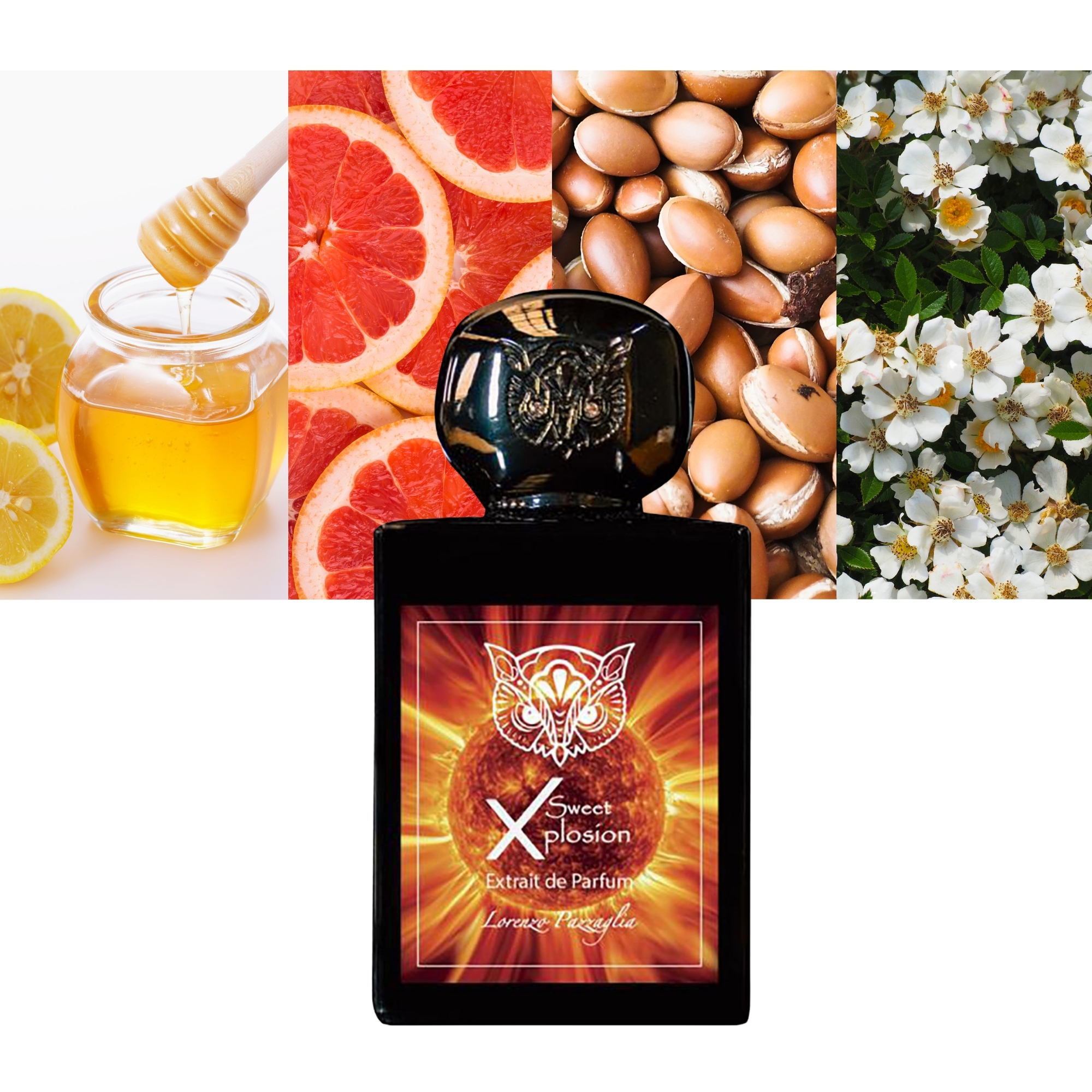 Lorenzo Pazzaglia Sweet Xplosion