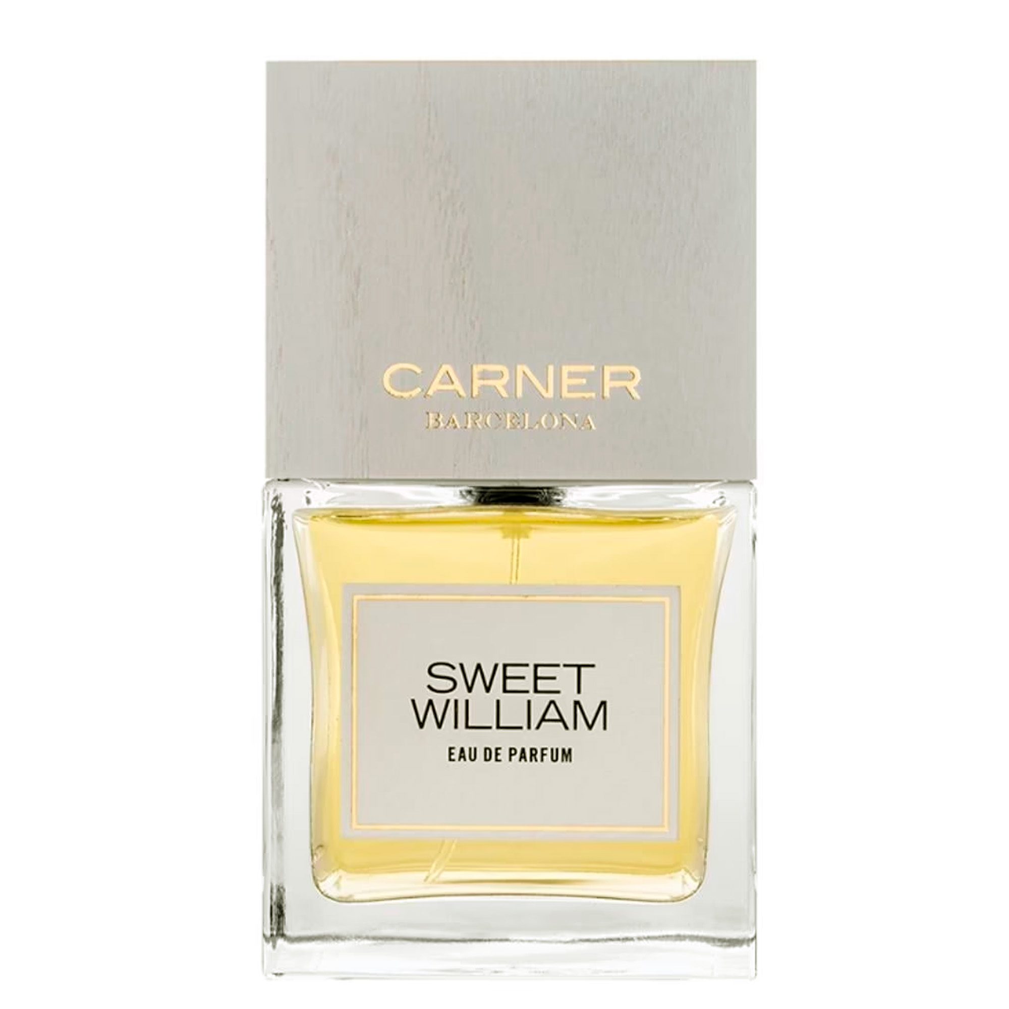 Carner Barcelona Sweet William