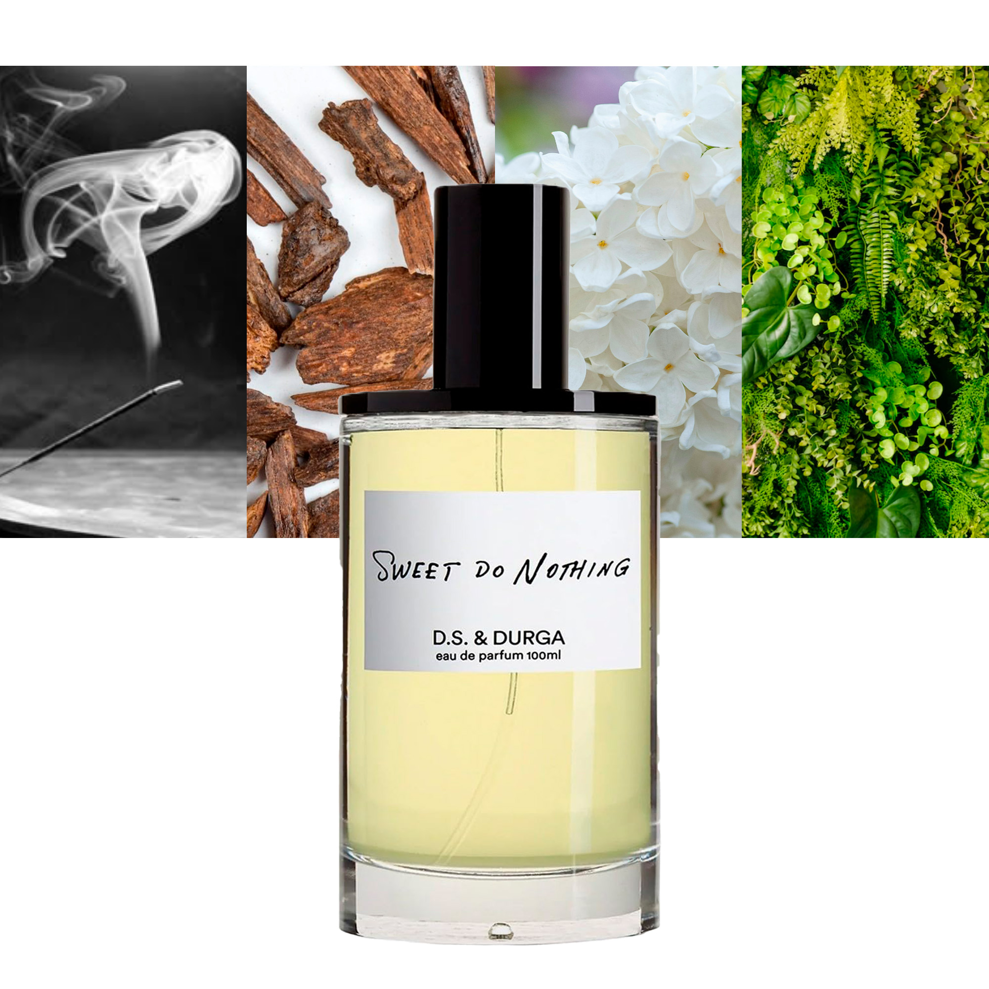D.S. &amp; Durga Sweet Do Nothing