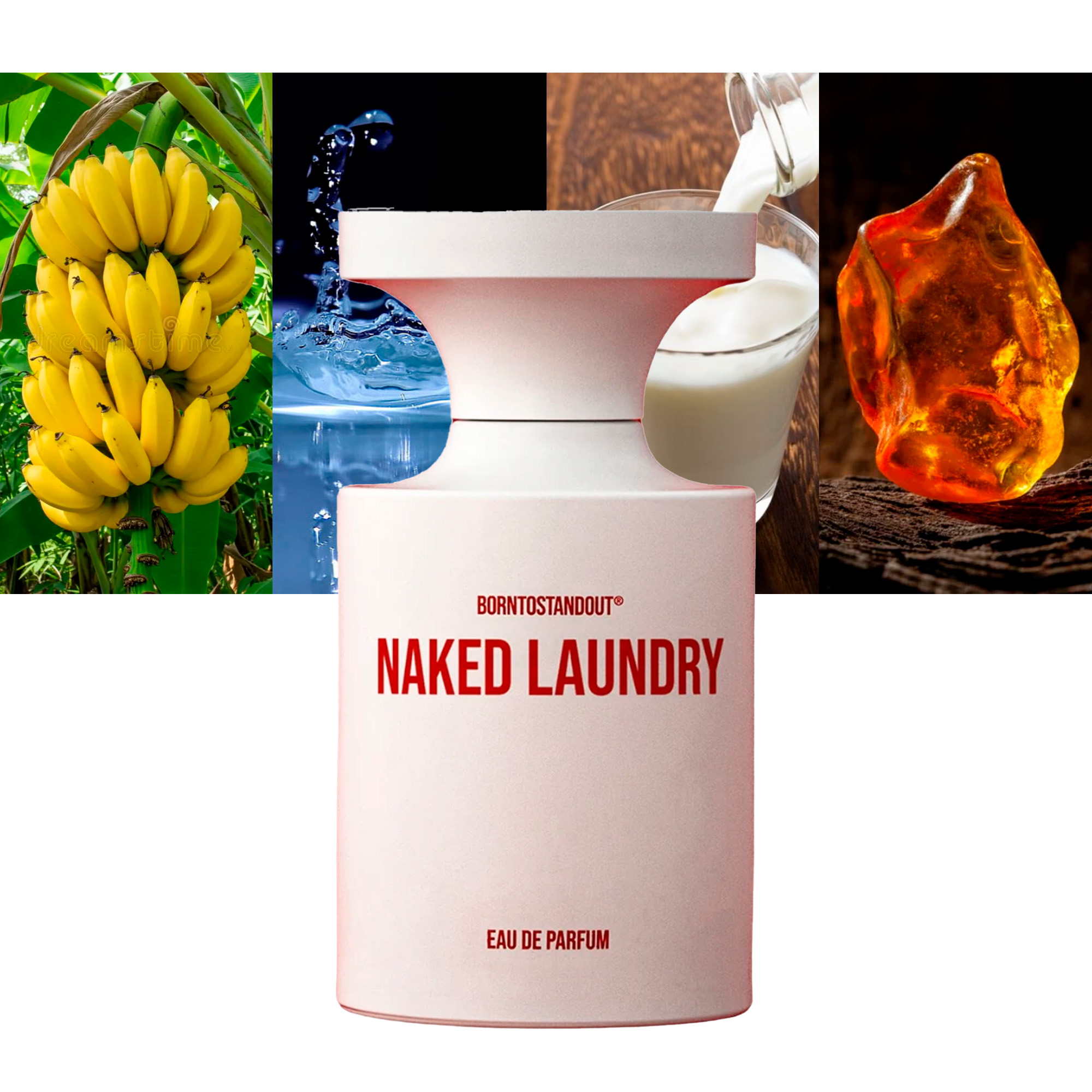 Borntostandout Naked Laundry