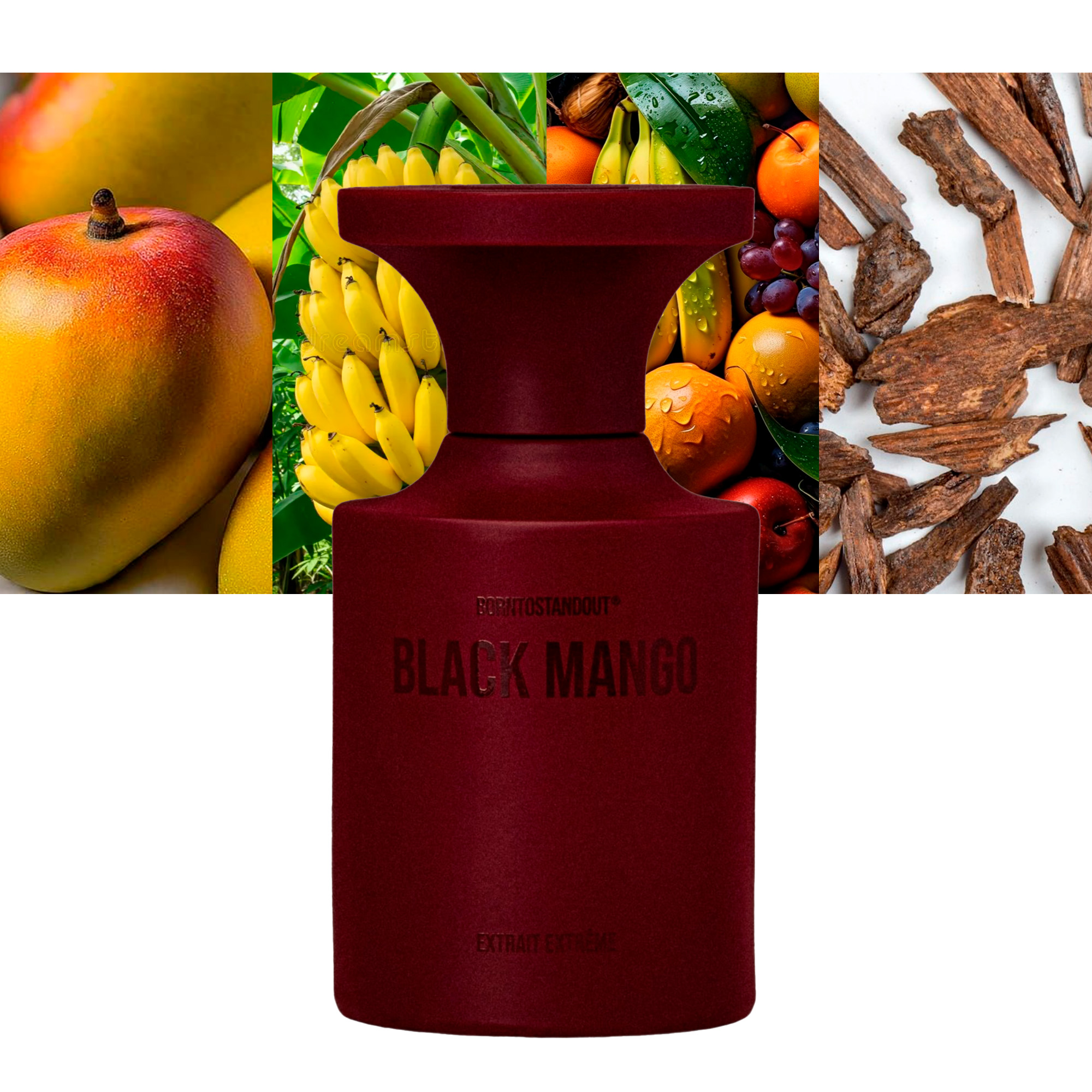 Borntostandout Black Mango Extrait Extreme
