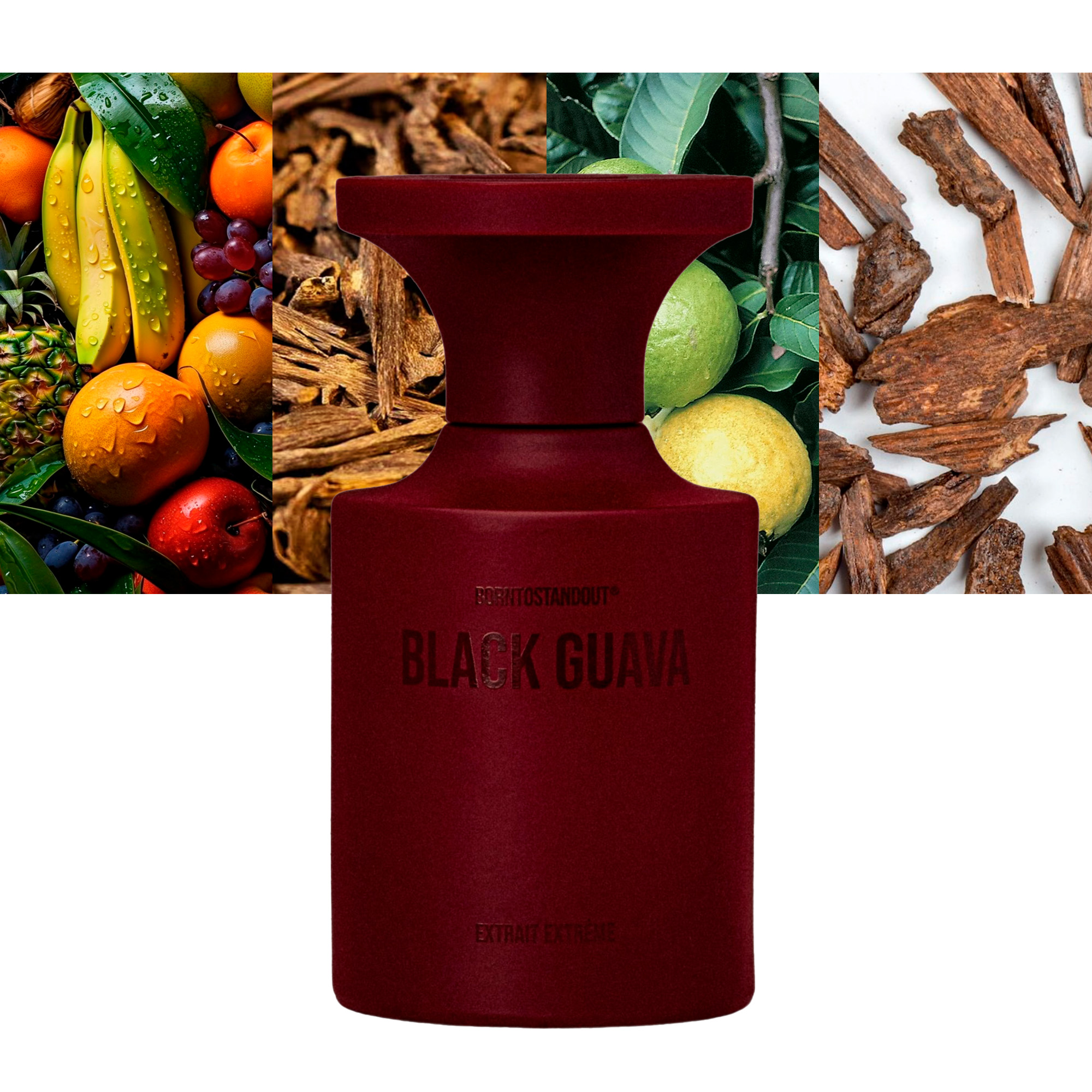 Borntostandout Black Guava Extrait Extreme