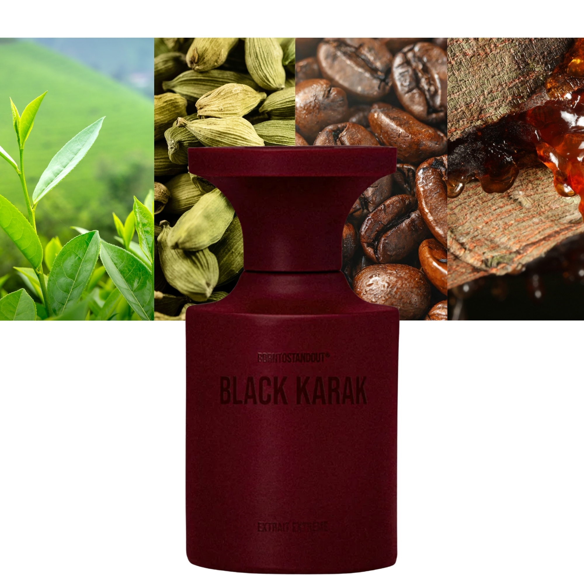 Borntostandout Black Karak