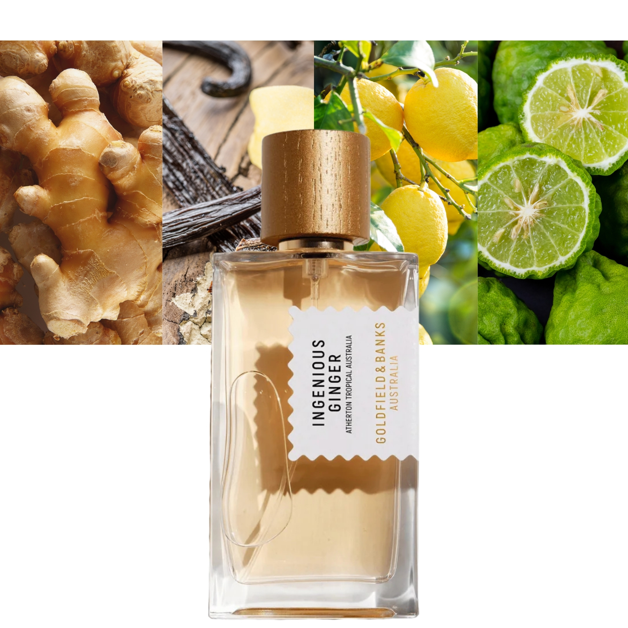 Goldfield &amp; Banks Ingenious Ginger