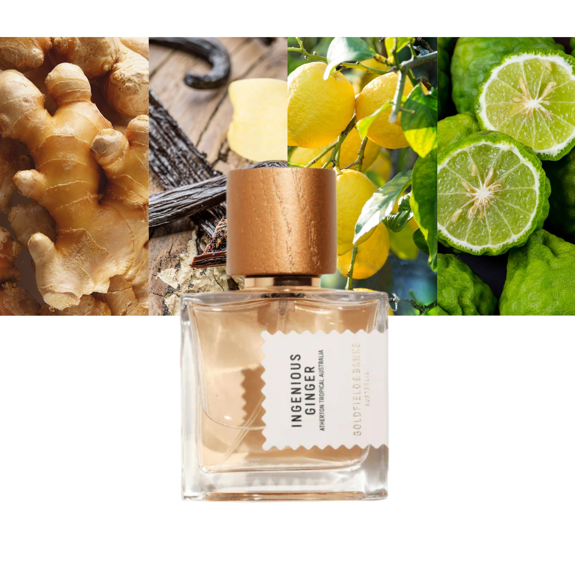 Goldfield &amp; Banks Ingenious Ginger