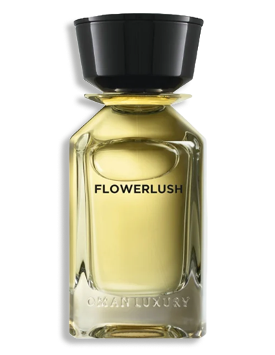 Product display image