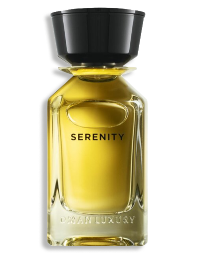 Product display image
