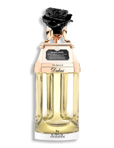 Product display image