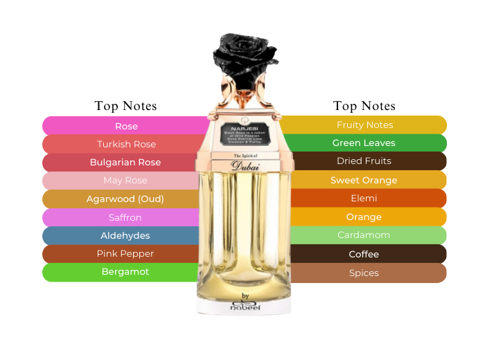 NARJESI THE SPIRIT OF DUBAI