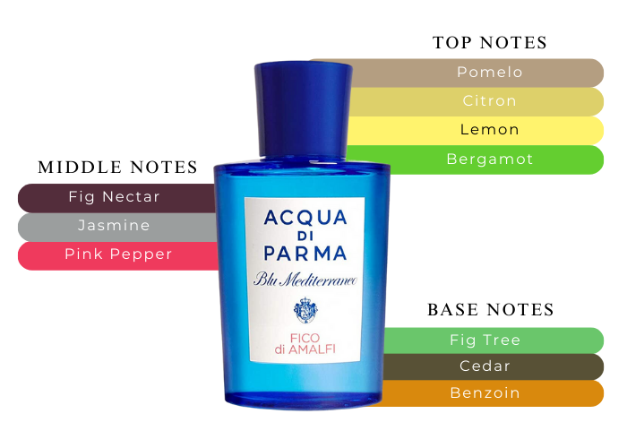 fico di amalfi meaning