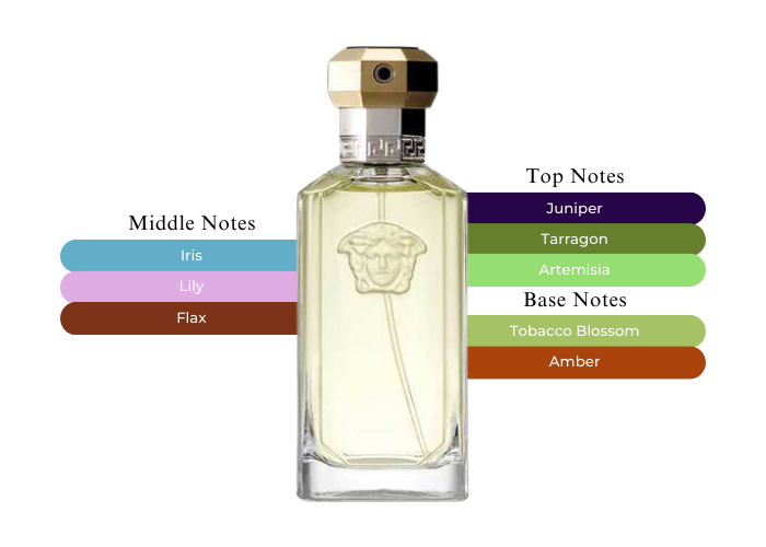 Versace Dreamer Cologne for Men