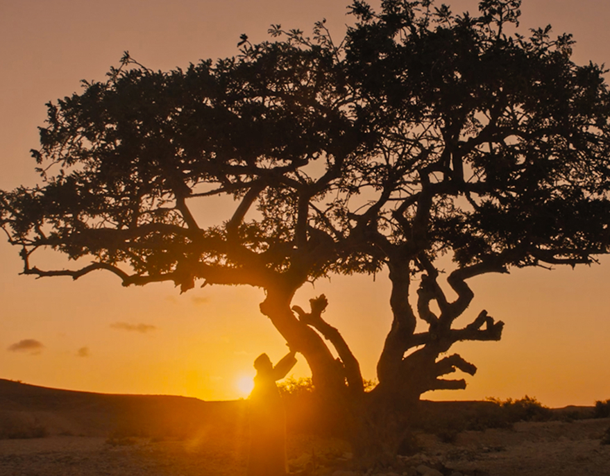 Where heritage and innovation converge to craft scents of timeless elegance.