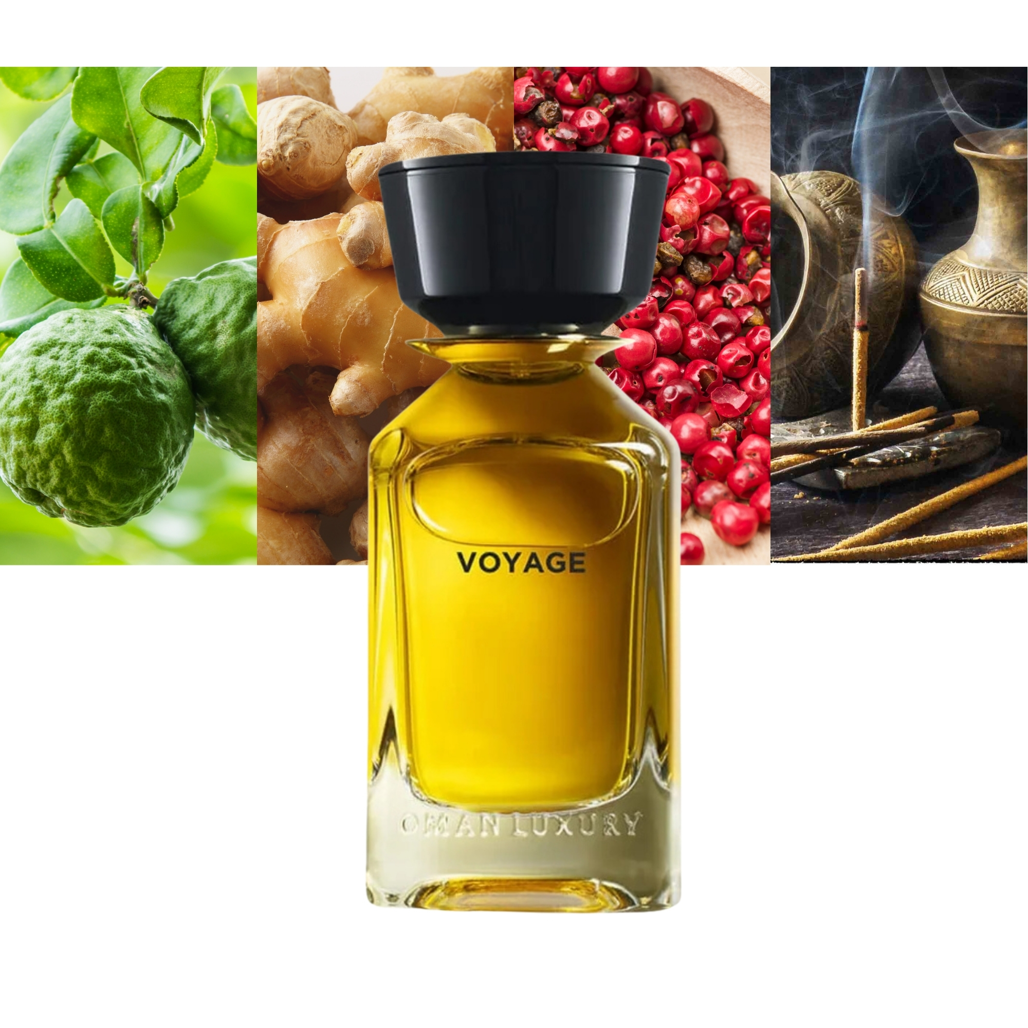 Omanluxury Voyage