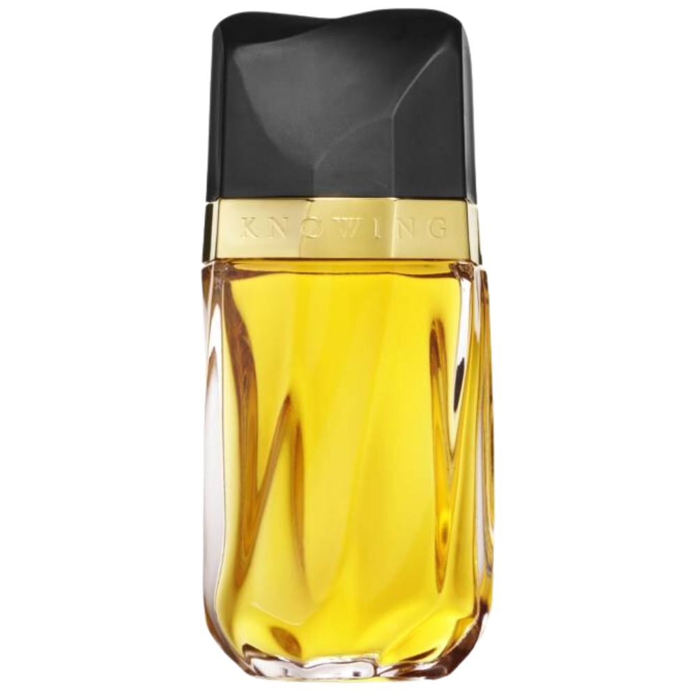Estee Lauder Knowing Eau De Parfum Women 25 oz 80$