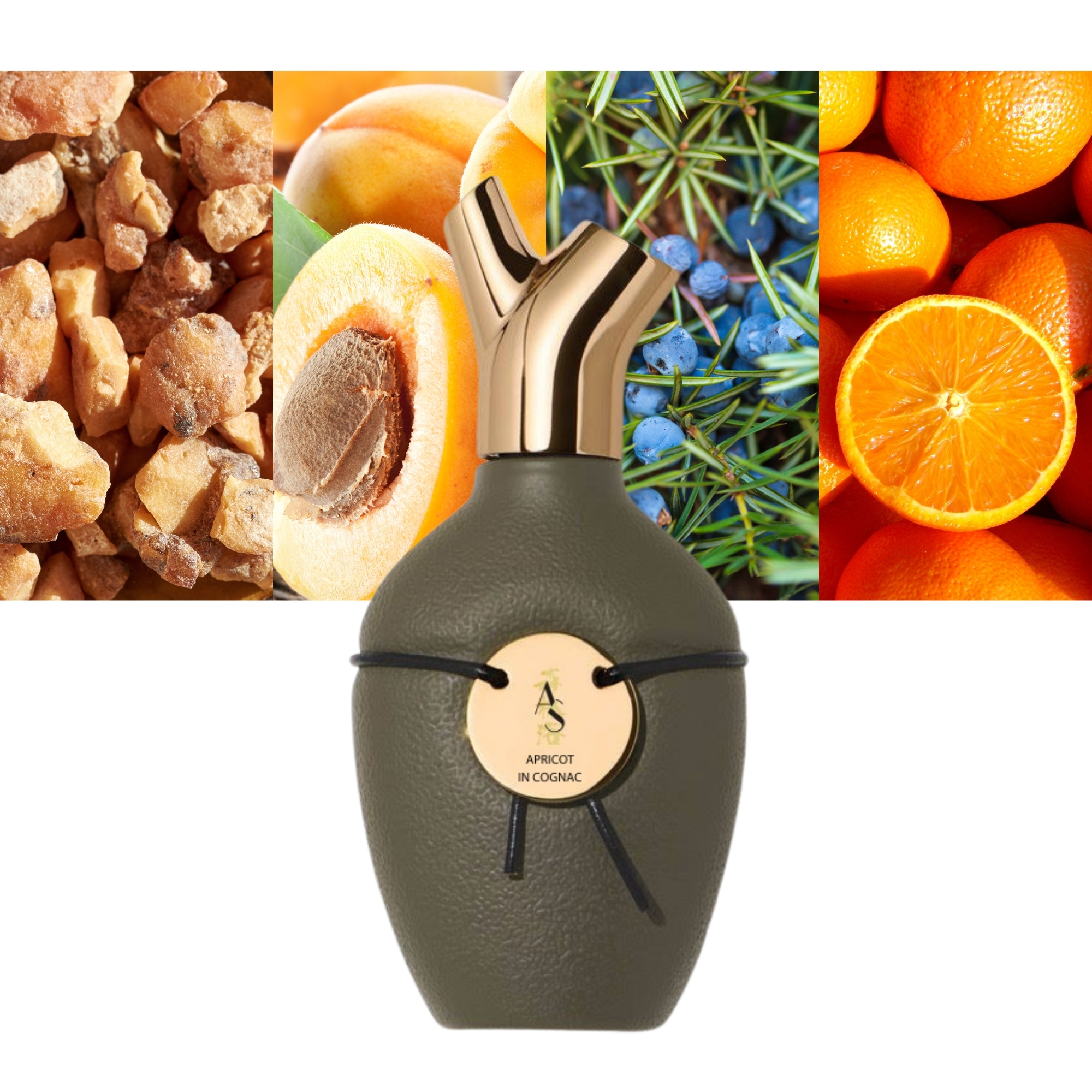Scents of Wood Apricot in Cognac