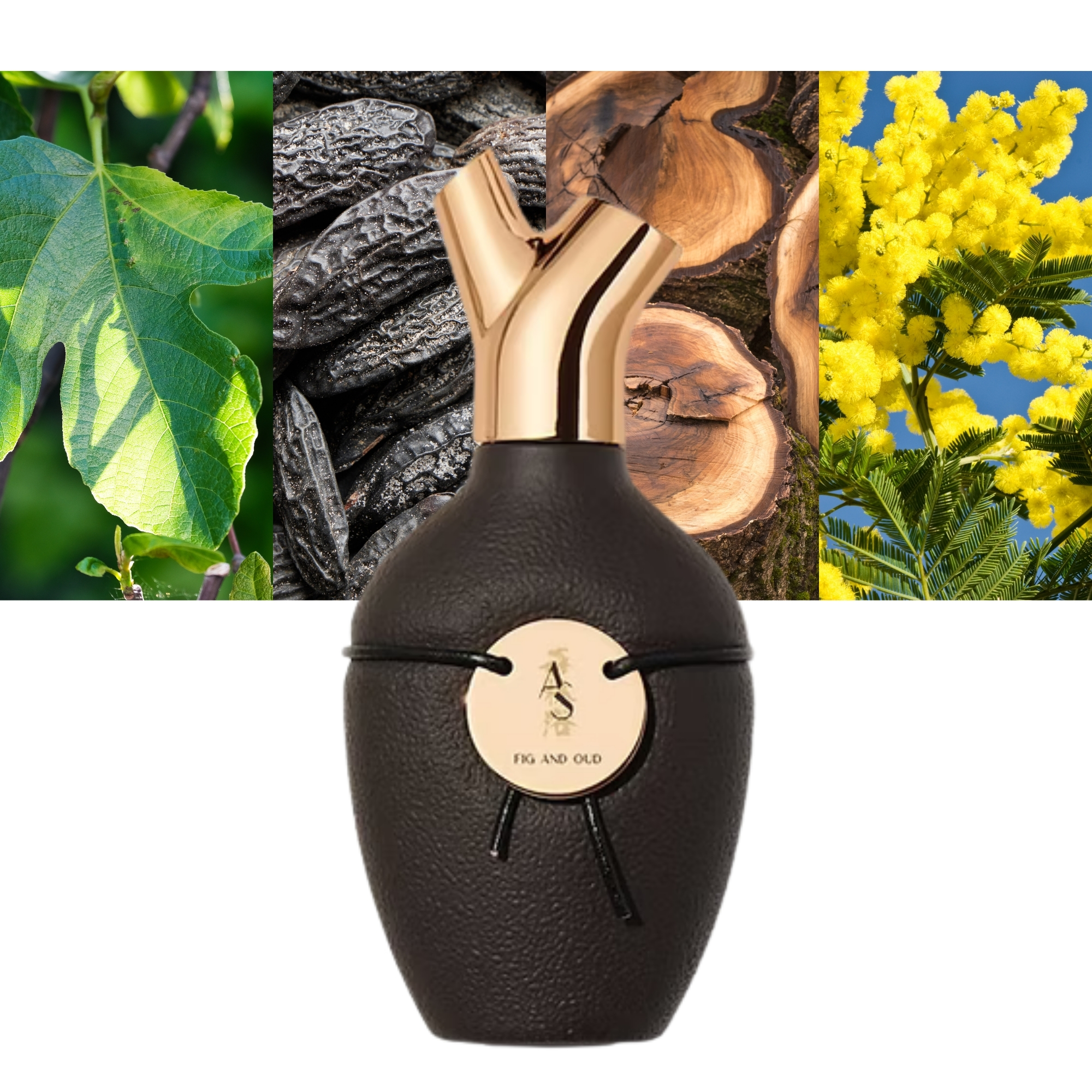 Scents of Wood Fig and Oud