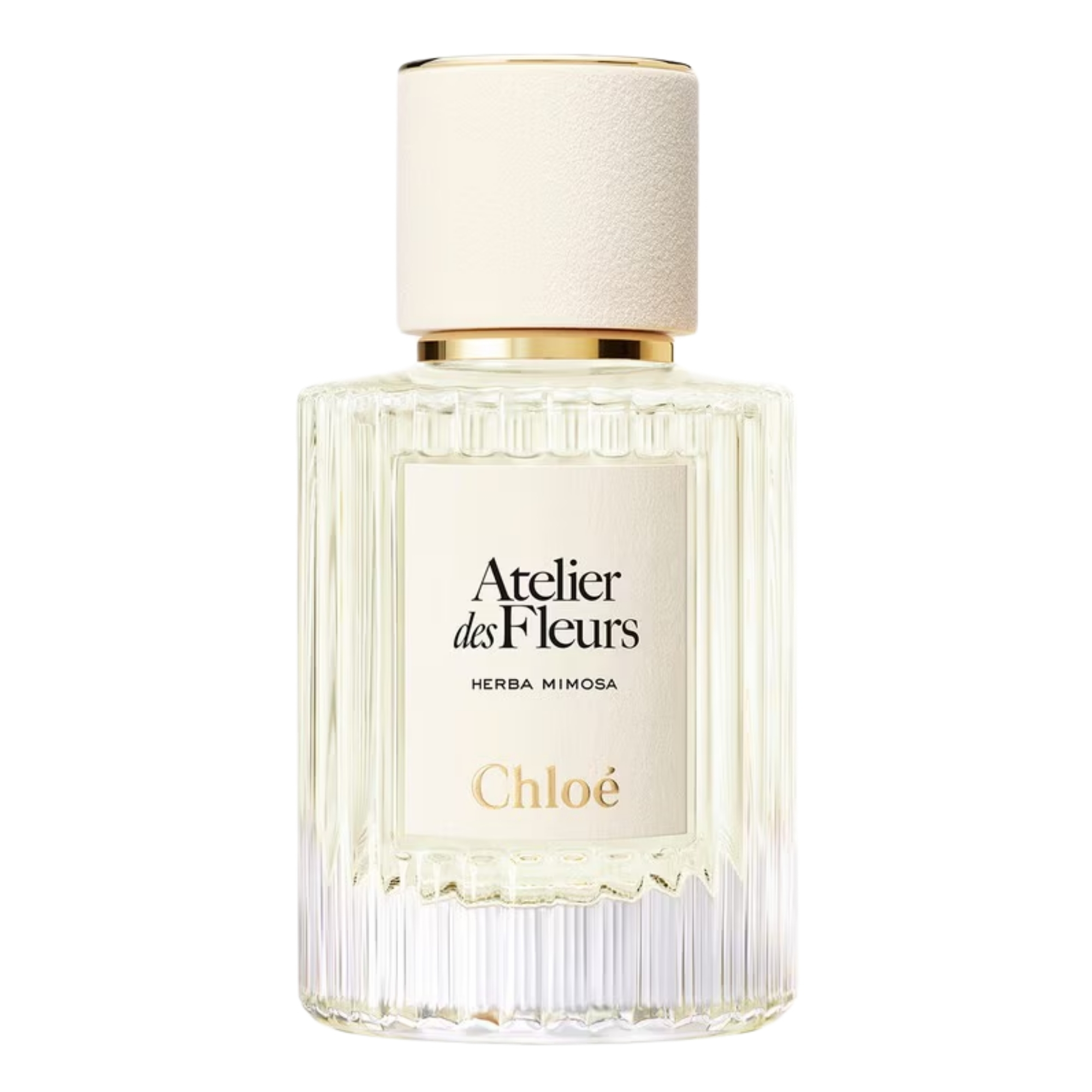 Chloe Atelier Des Fleurs Herba Mimosa Eau De Parfum Unisex 16 oz 105$