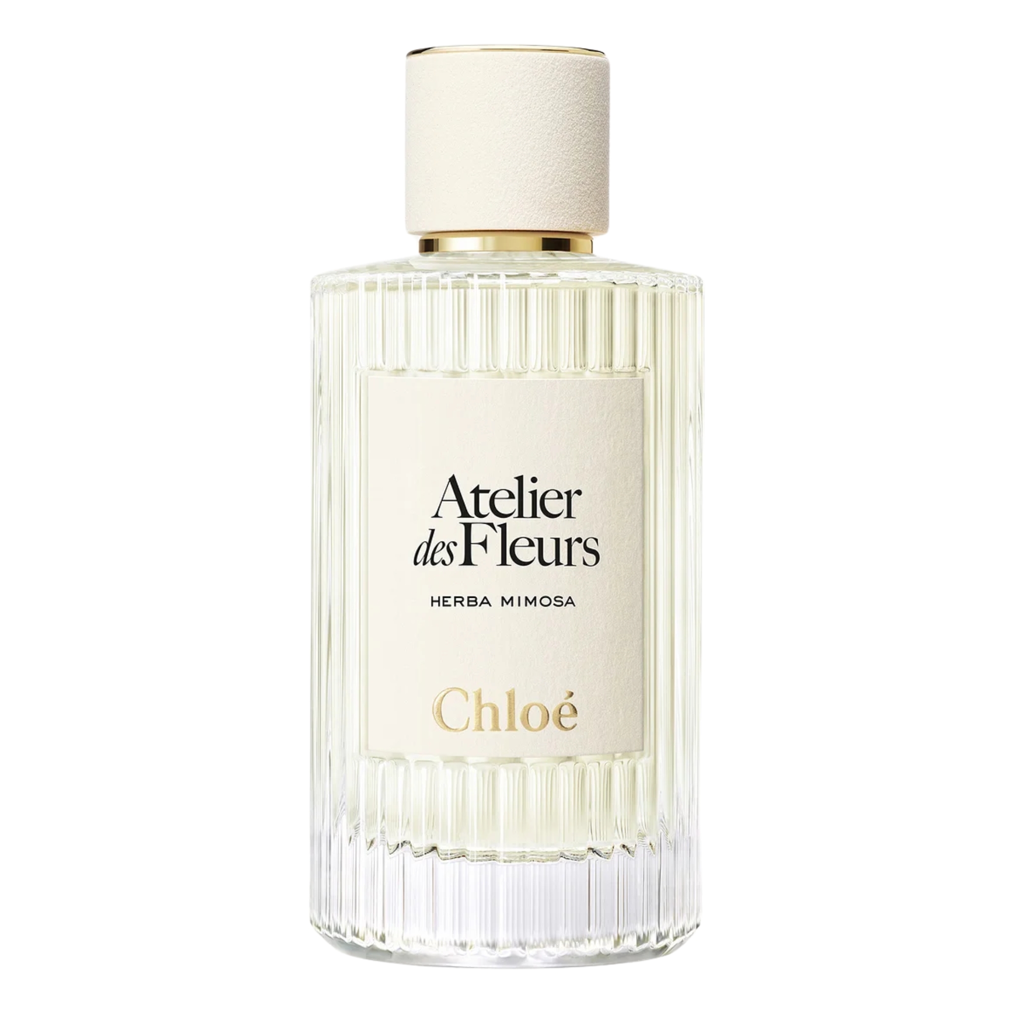 Chloe Atelier Des Fleurs Herba Mimosa Eau De Parfum Unisex 5 oz 308$