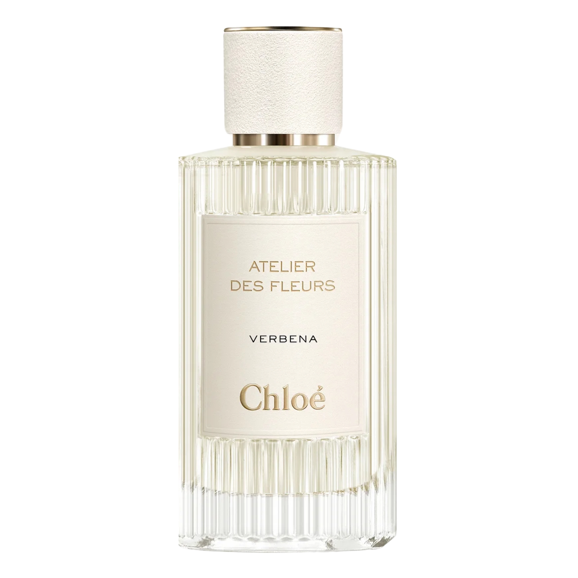 Chloe Atelier Des Fleurs Verbena