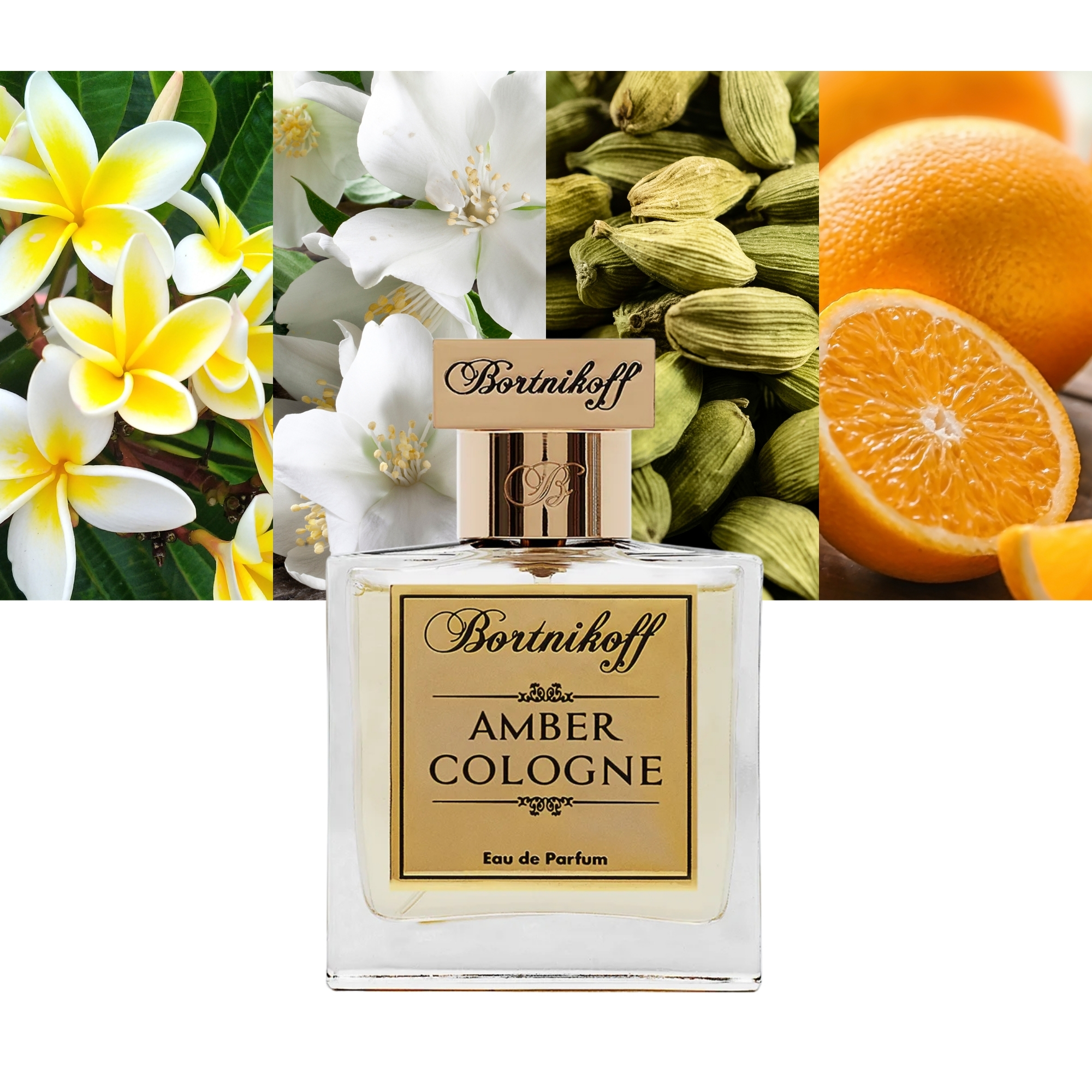 Bortnikoff Amber Cologne