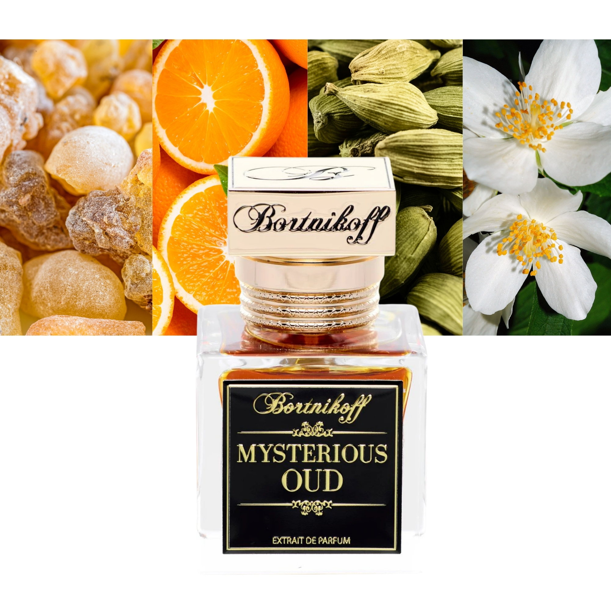 Bortnikoff Mysterious Oud