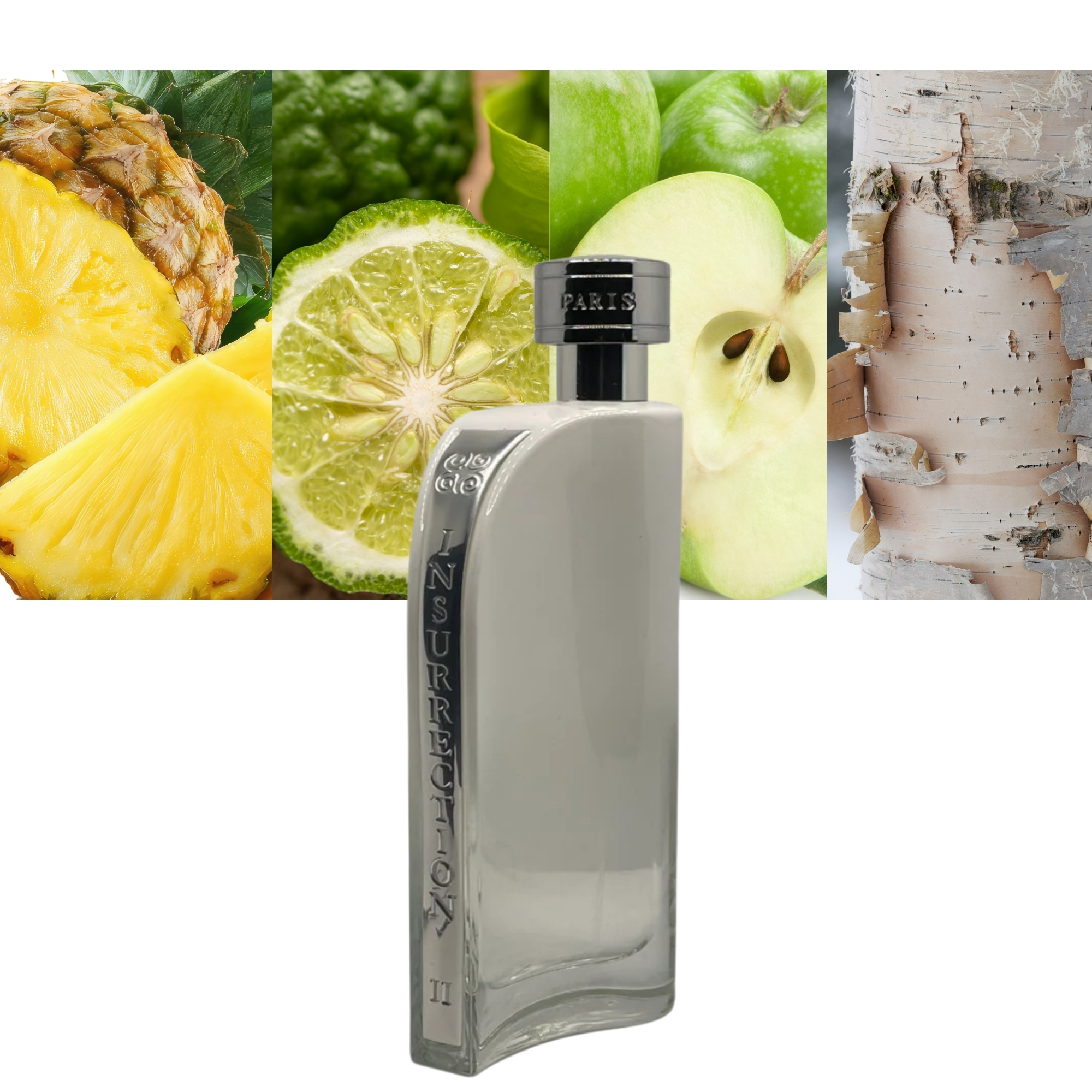 Rayenne Insurrection Insurrection II Pure by Reyane Tradition EDT 3 OZ |MaxAroma.com