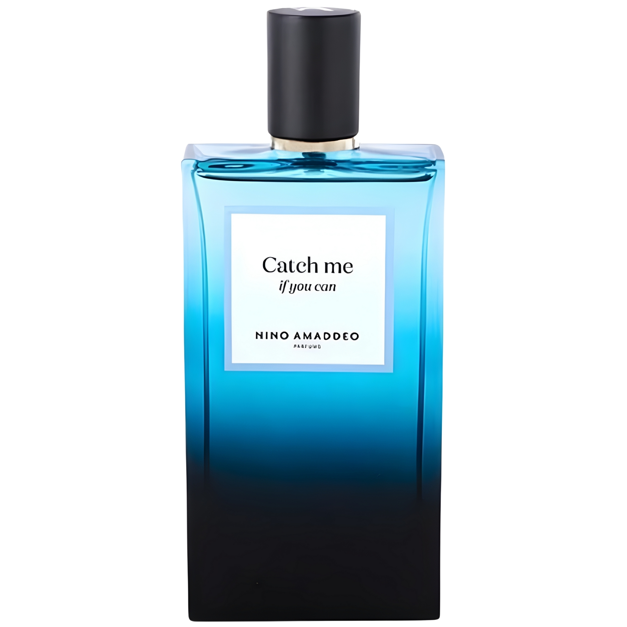 Nino Amaddeo Catch me if you can Eau De Parfum Men 3.4 Oz