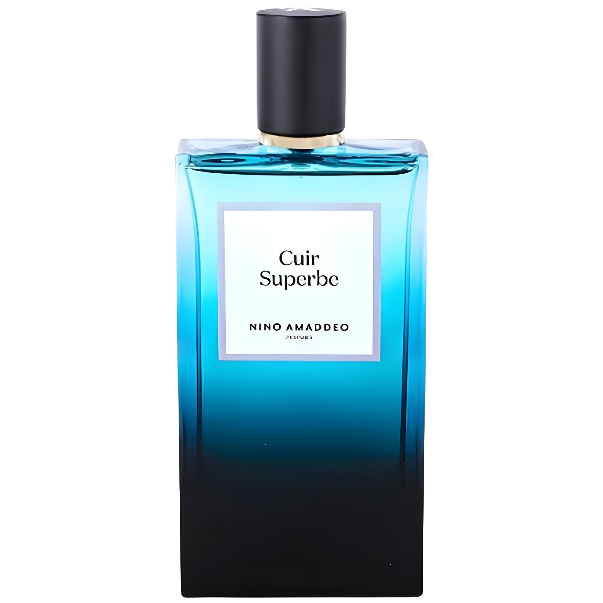 Nino Amaddeo Cuir Superbe Eau De Parfum Men 3.4 Oz