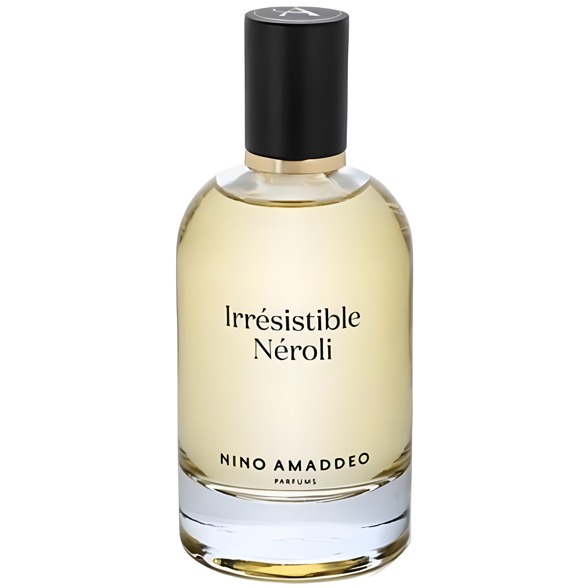 Nino Amaddeo Irresistible Neroli Eau De Parfum Men 3.4 Oz