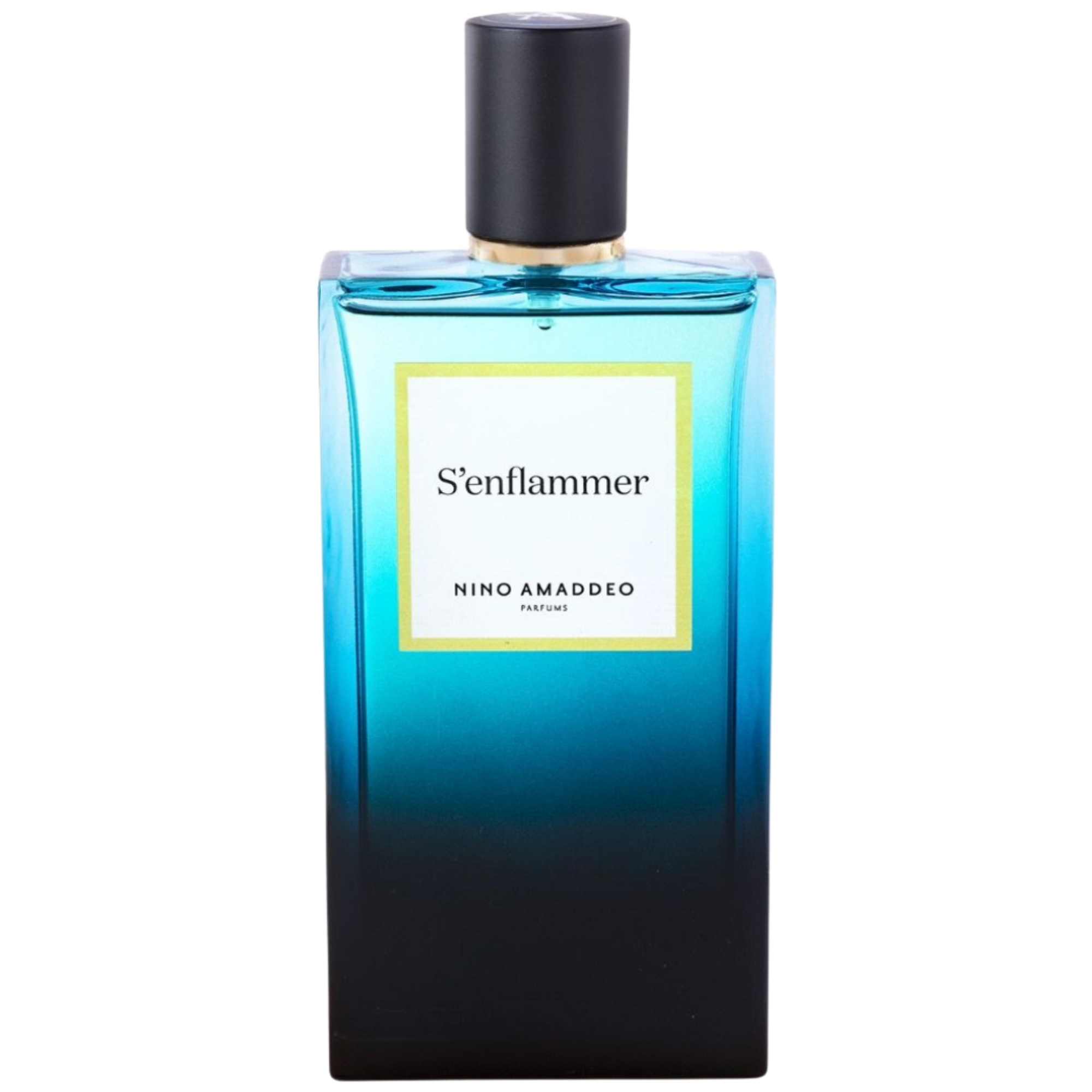 Nino Amaddeo S'enflammer Eau De Parfum Men 3.4 Oz